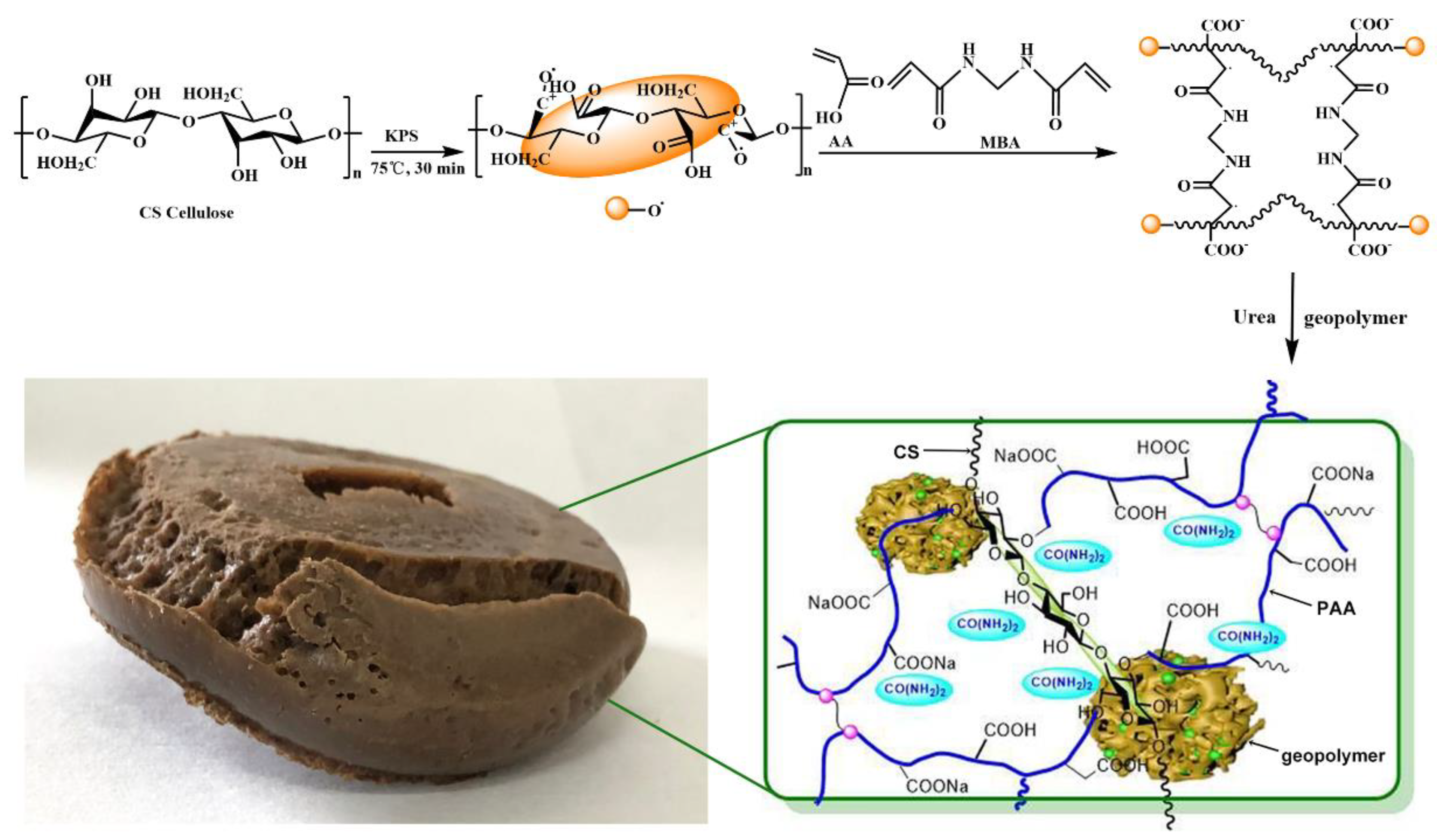 Polymers 14 01461 g002