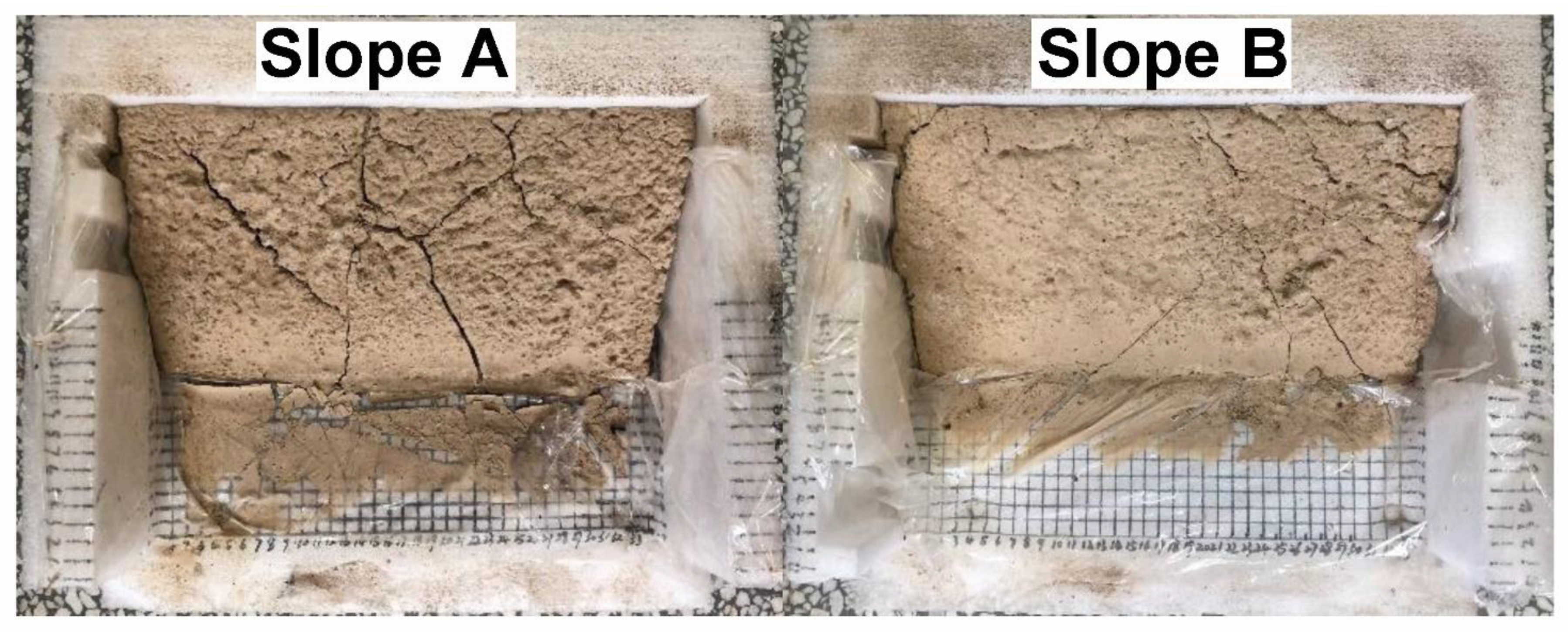 Polymers 14 01461 g008