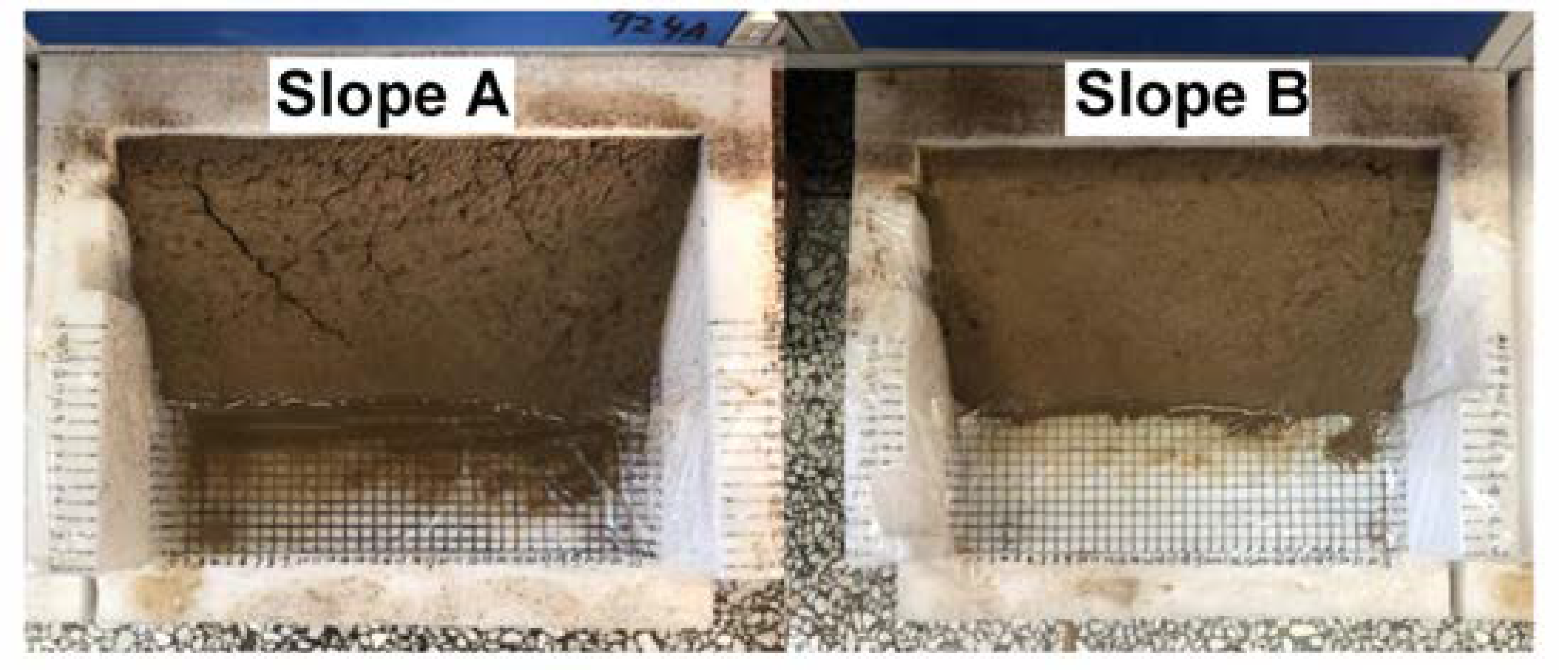 Polymers 14 01461 g009