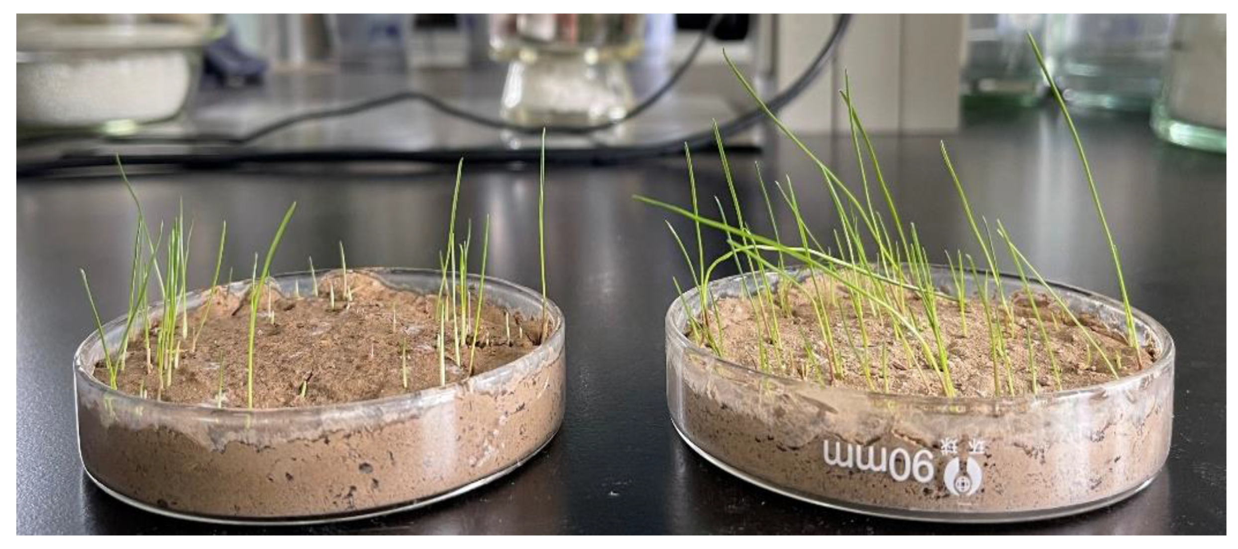 Polymers 14 01461 g012