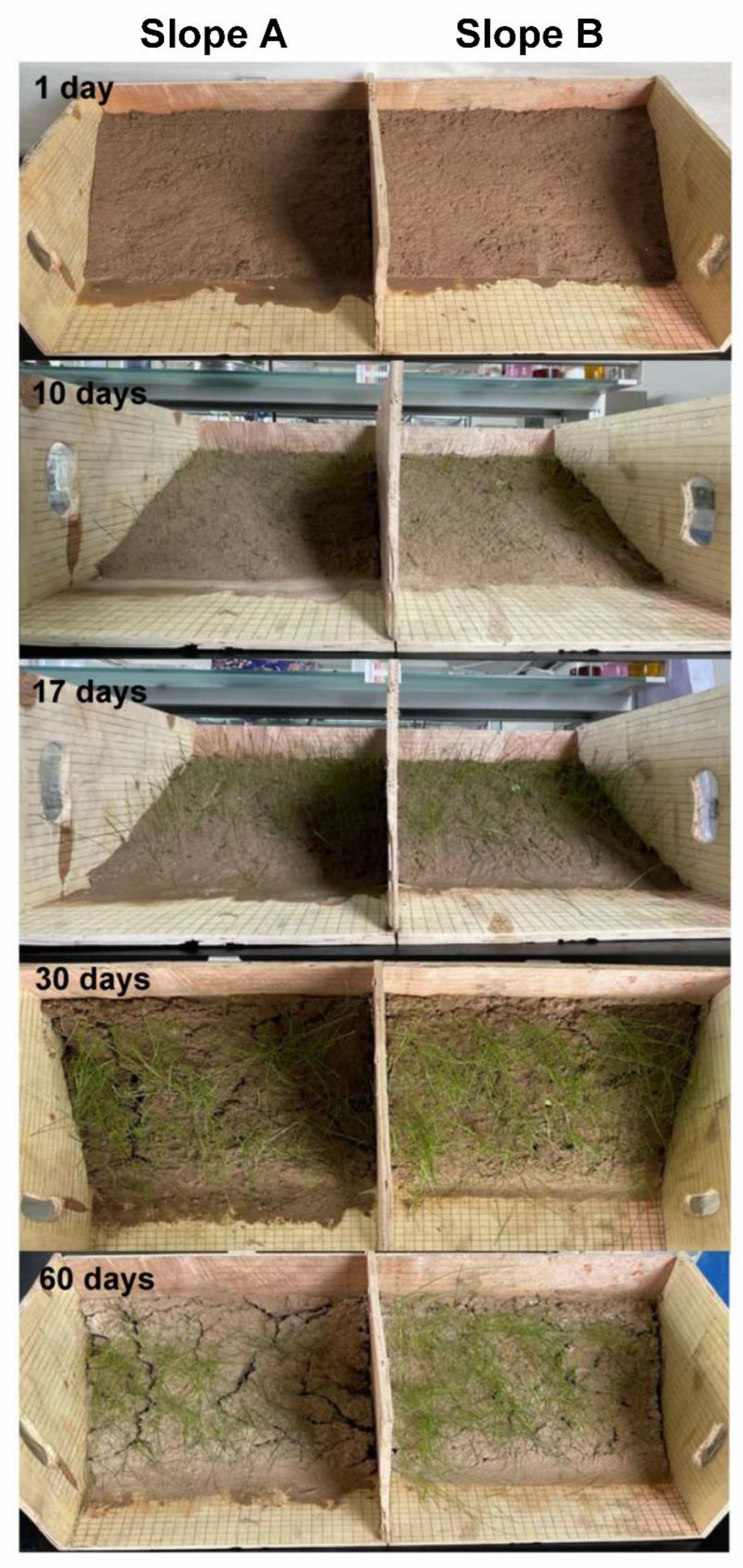 Polymers 14 01461 g013