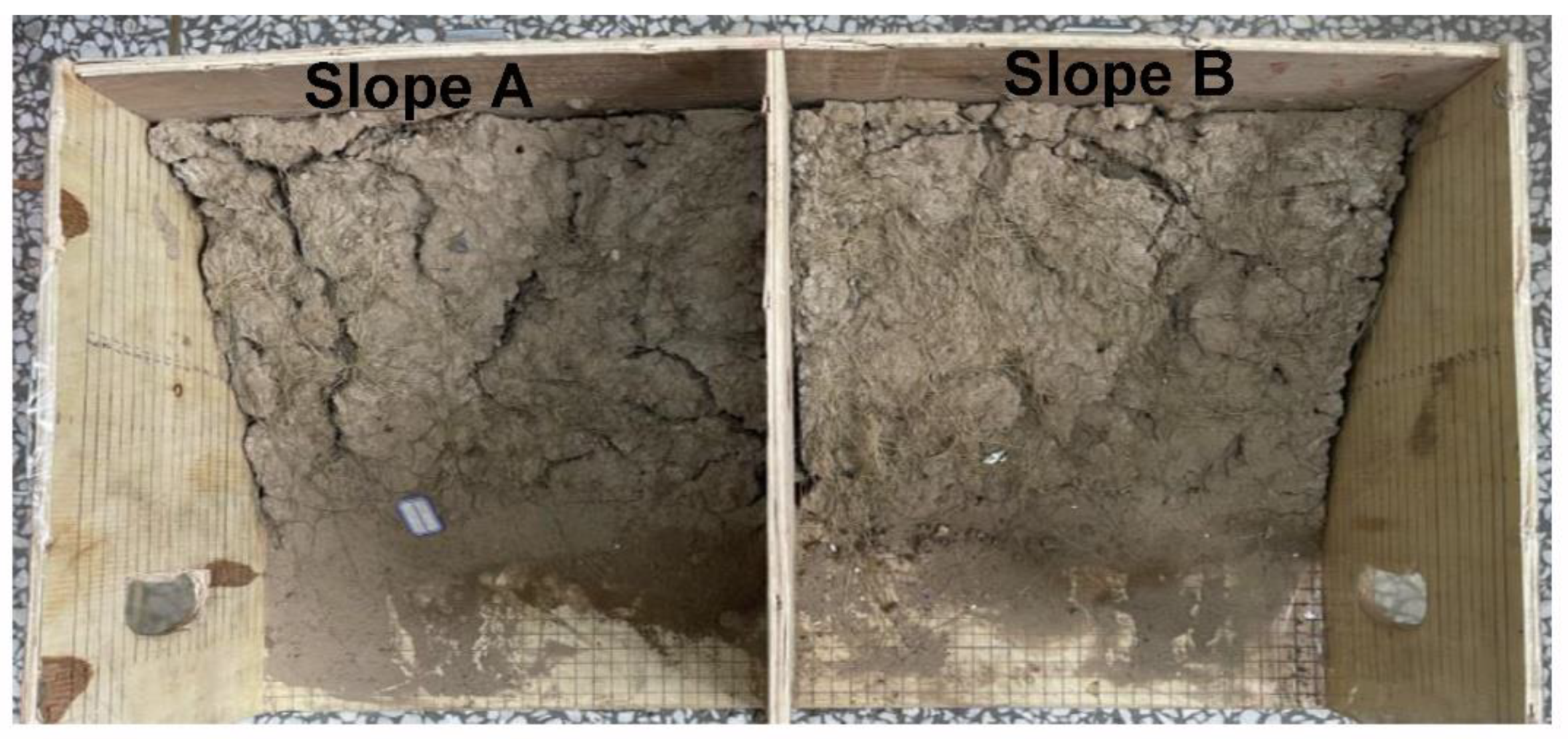 Polymers 14 01461 g014