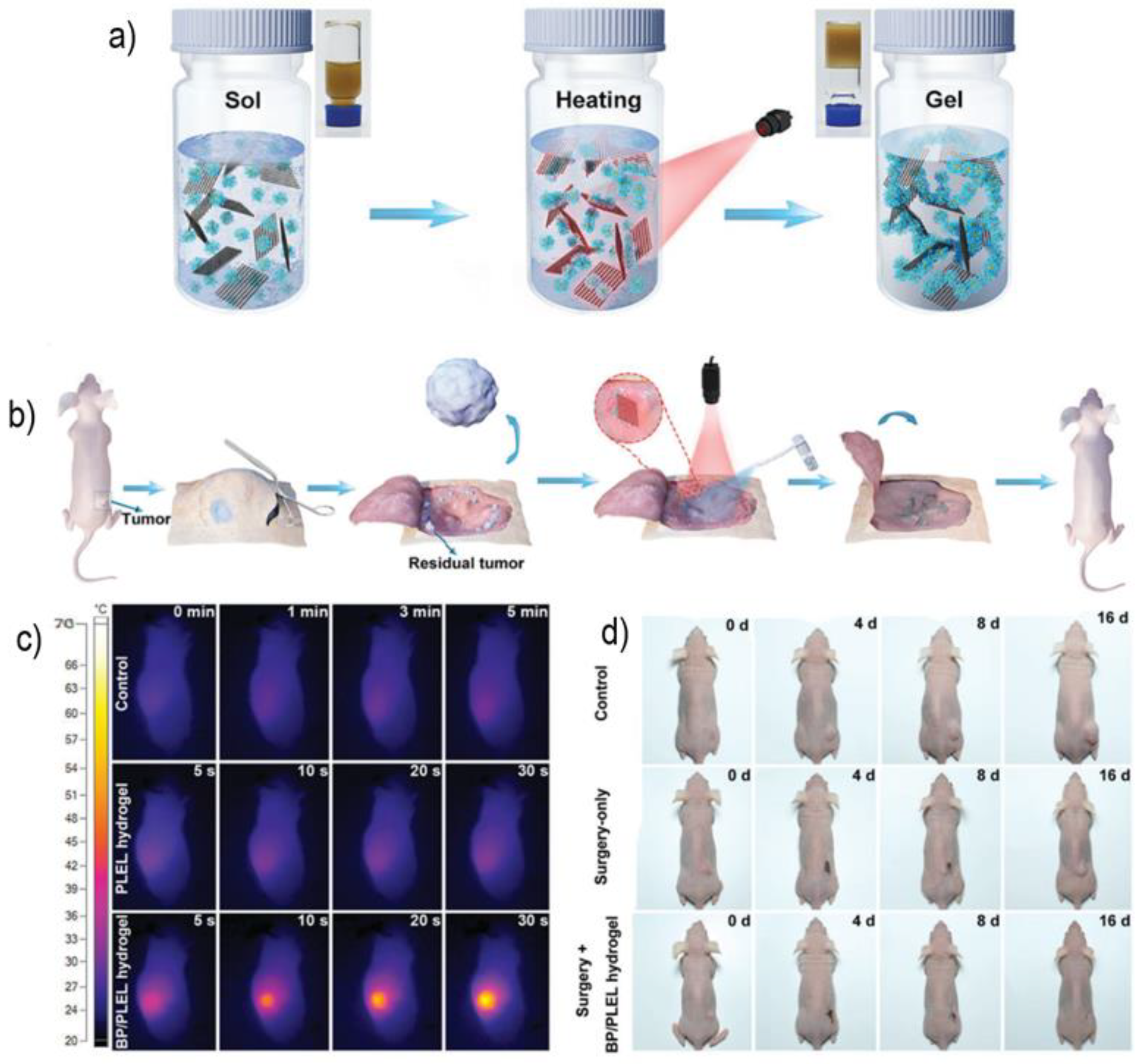 Polymers 14 01464 g003