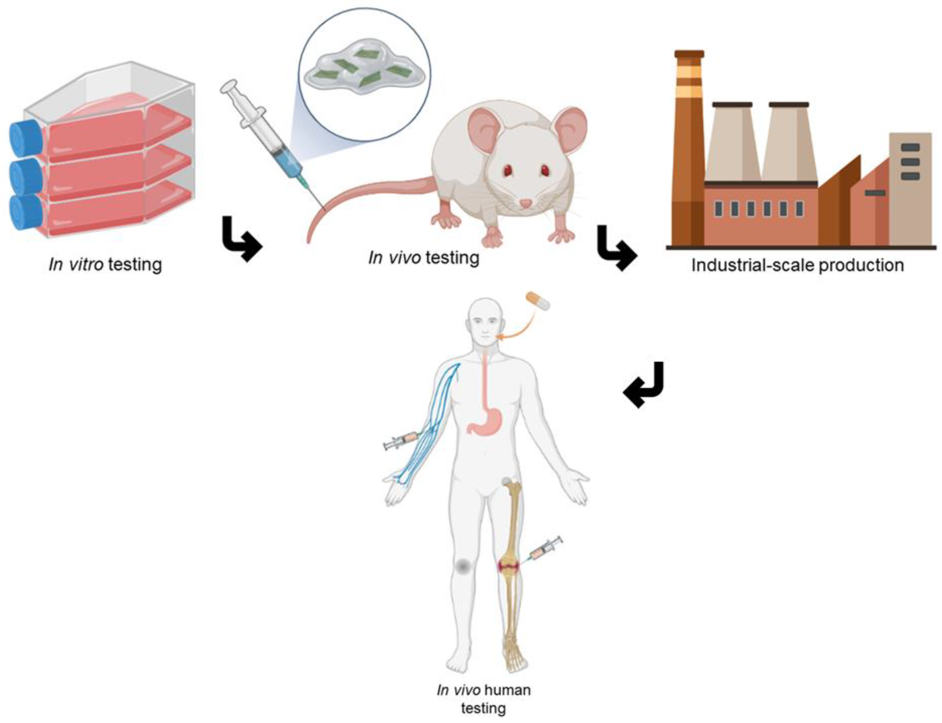 Polymers 14 01464 g008