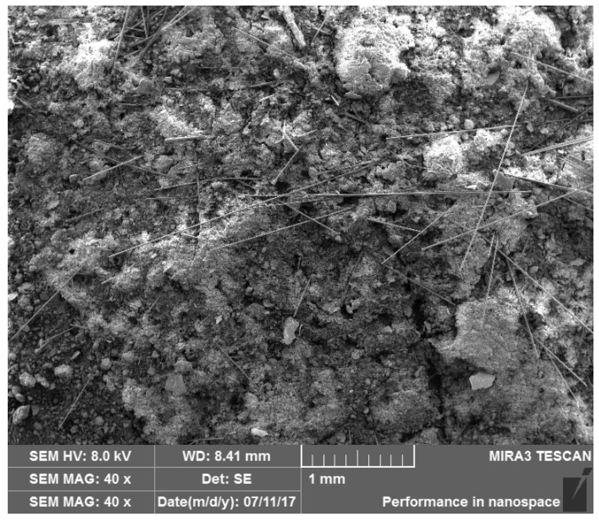 Polymers 14 01465 g002