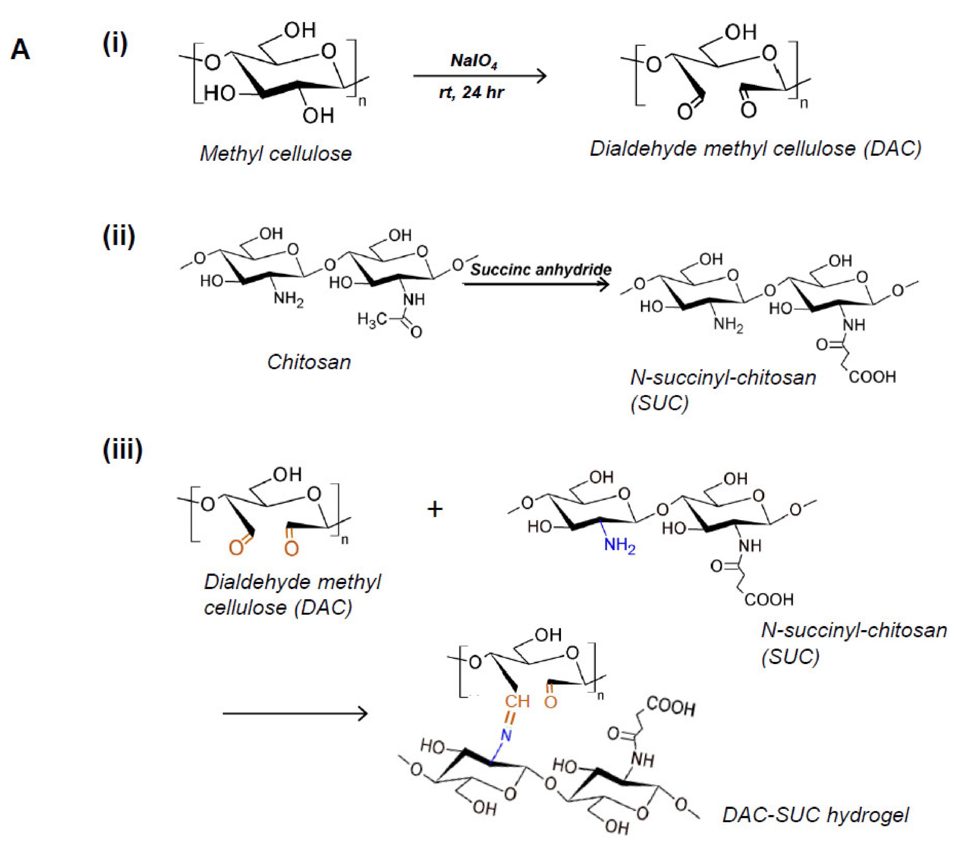 Polymers 14 01474 g001a