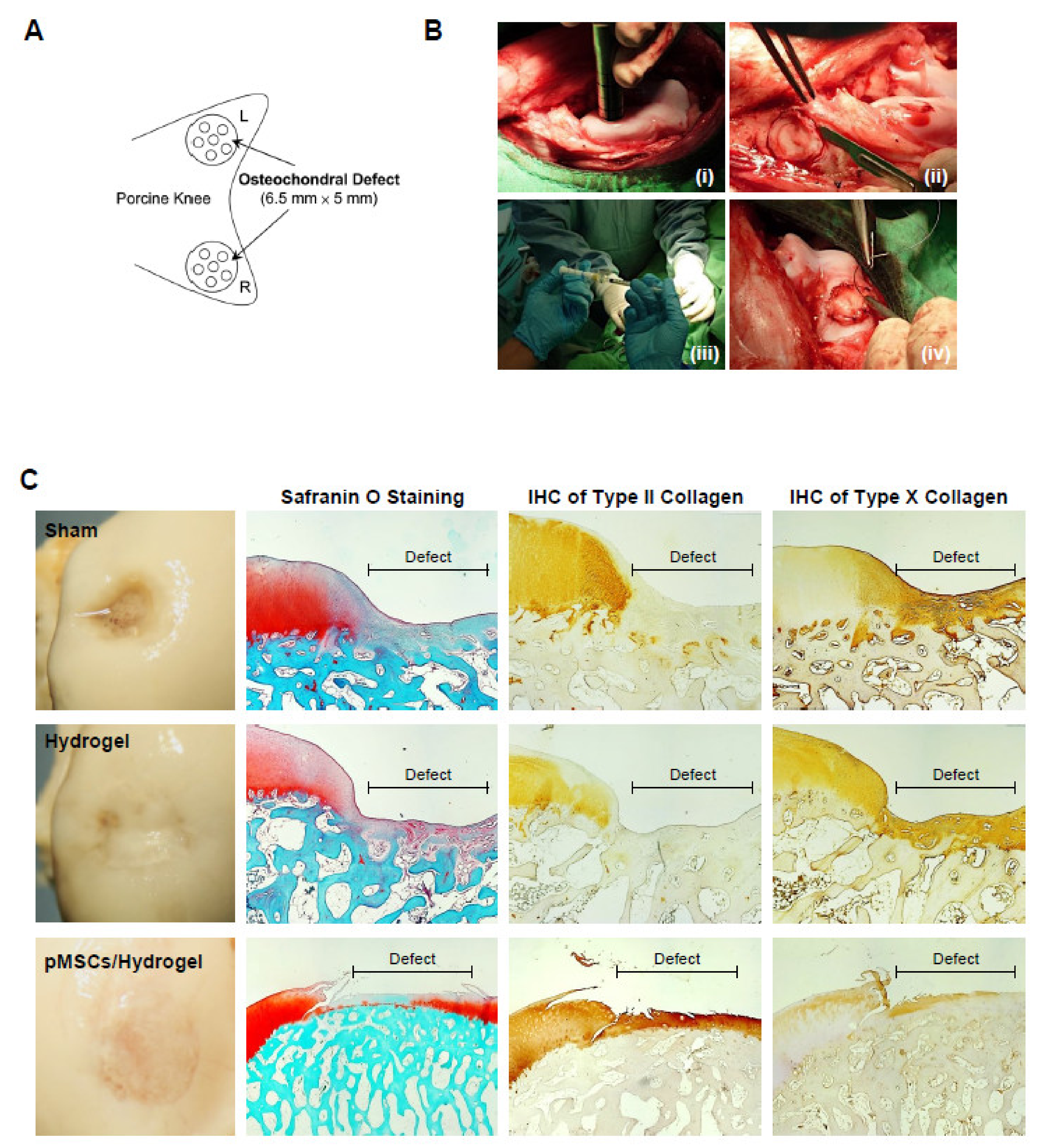 Polymers 14 01474 g005