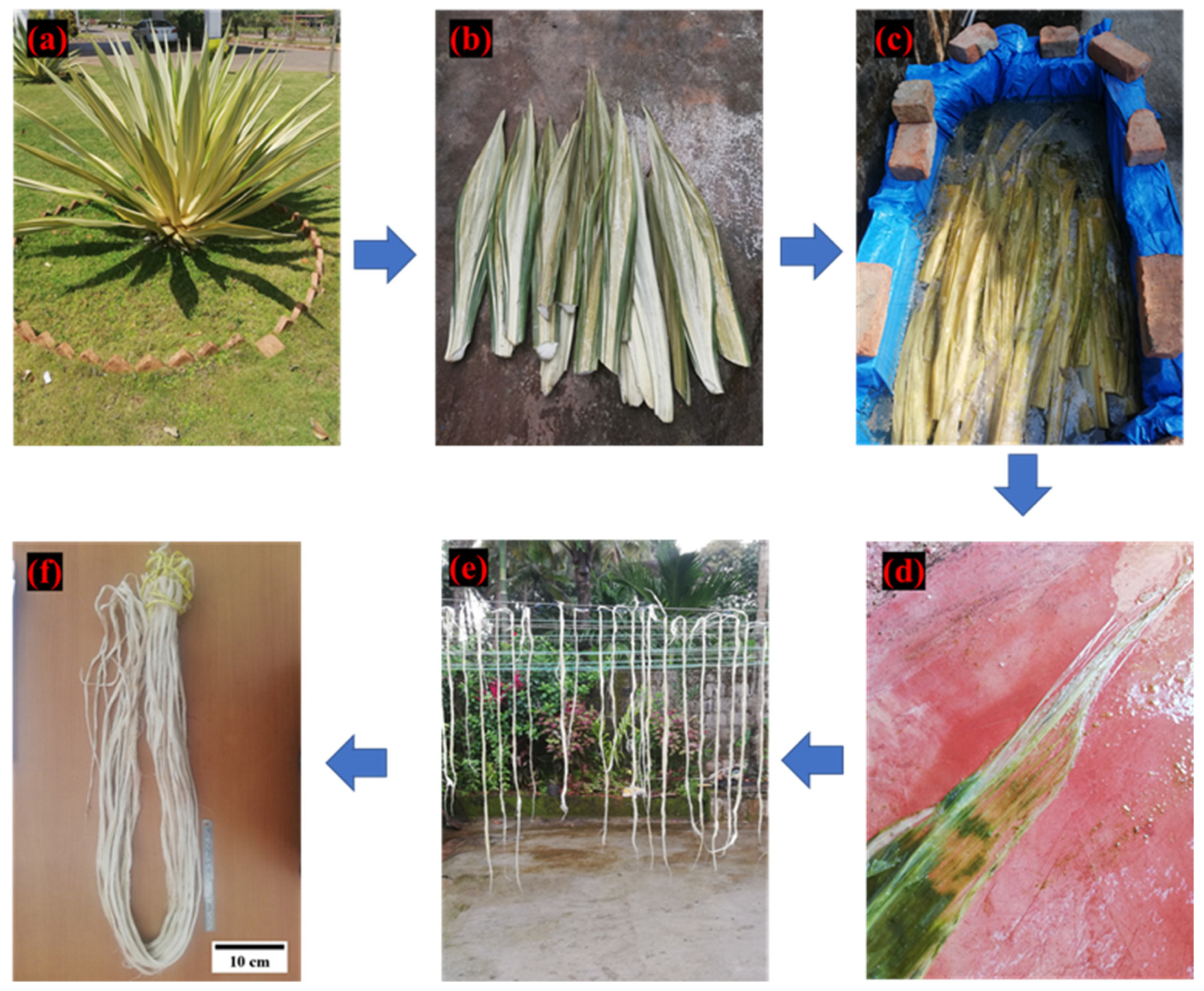 Polymers 14 01476 g001