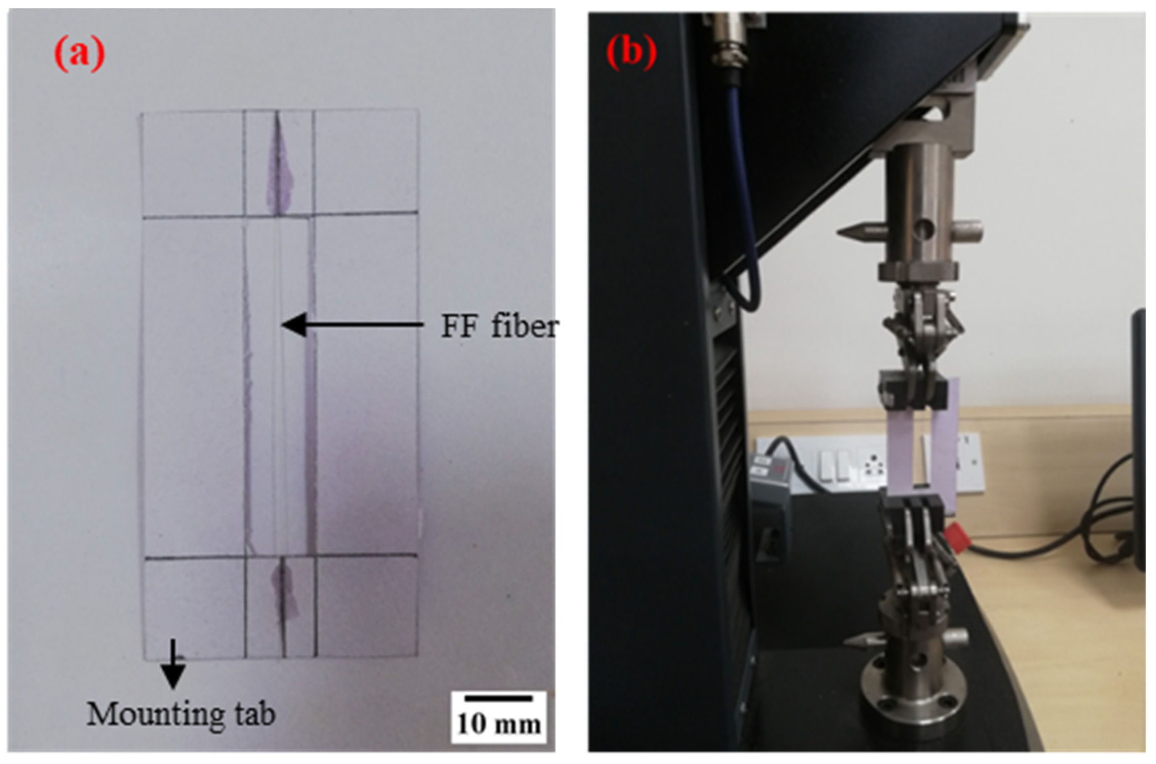 Polymers 14 01476 g003