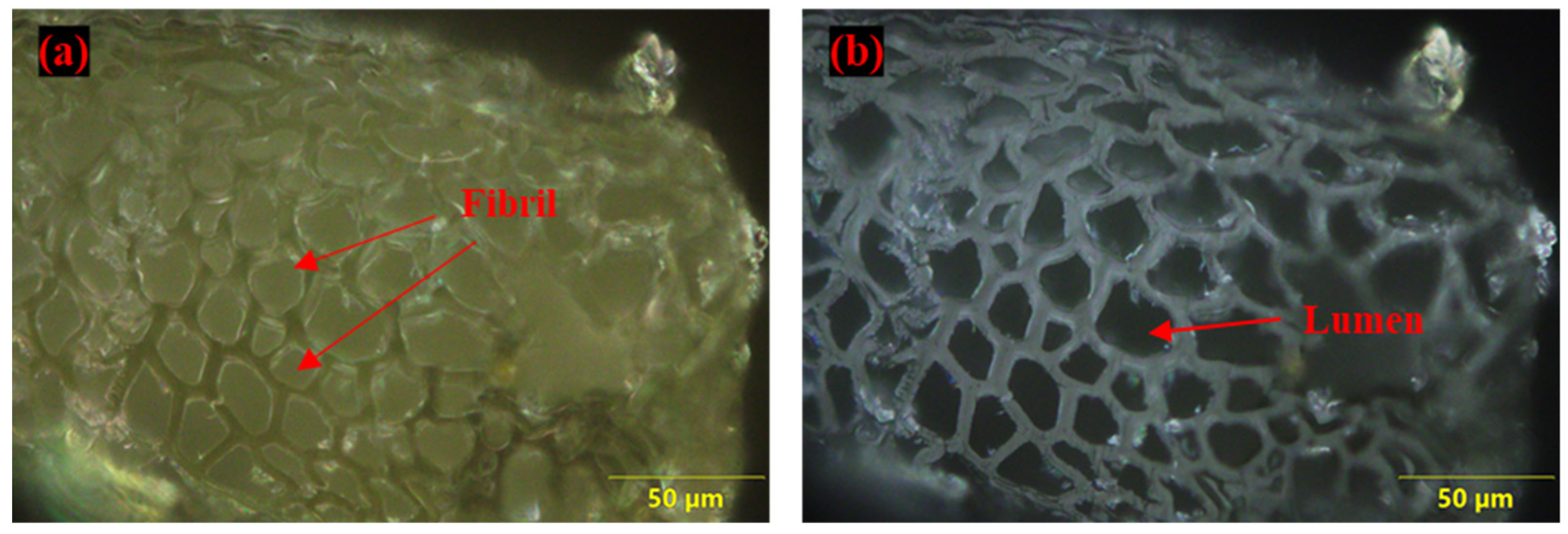 Polymers 14 01476 g009
