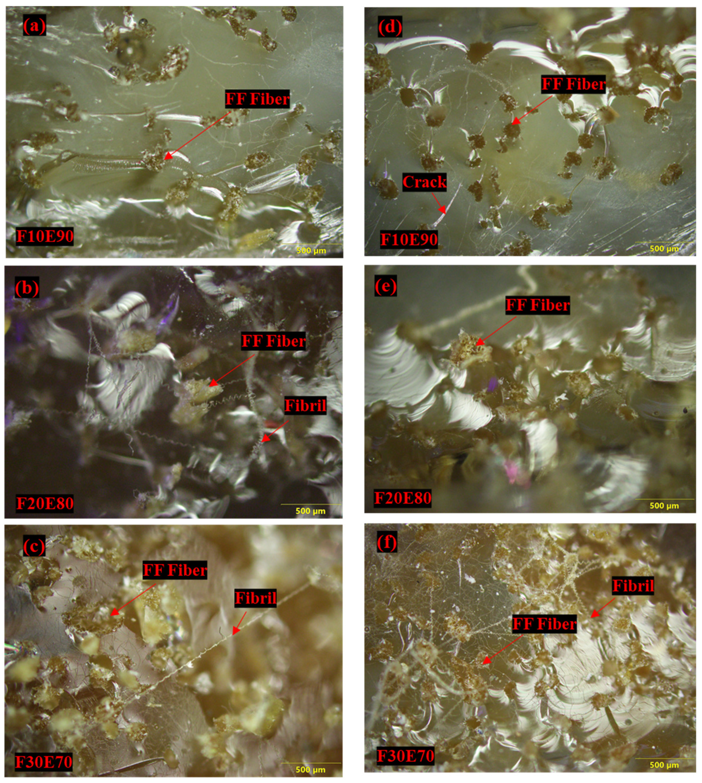 Polymers 14 01476 g019