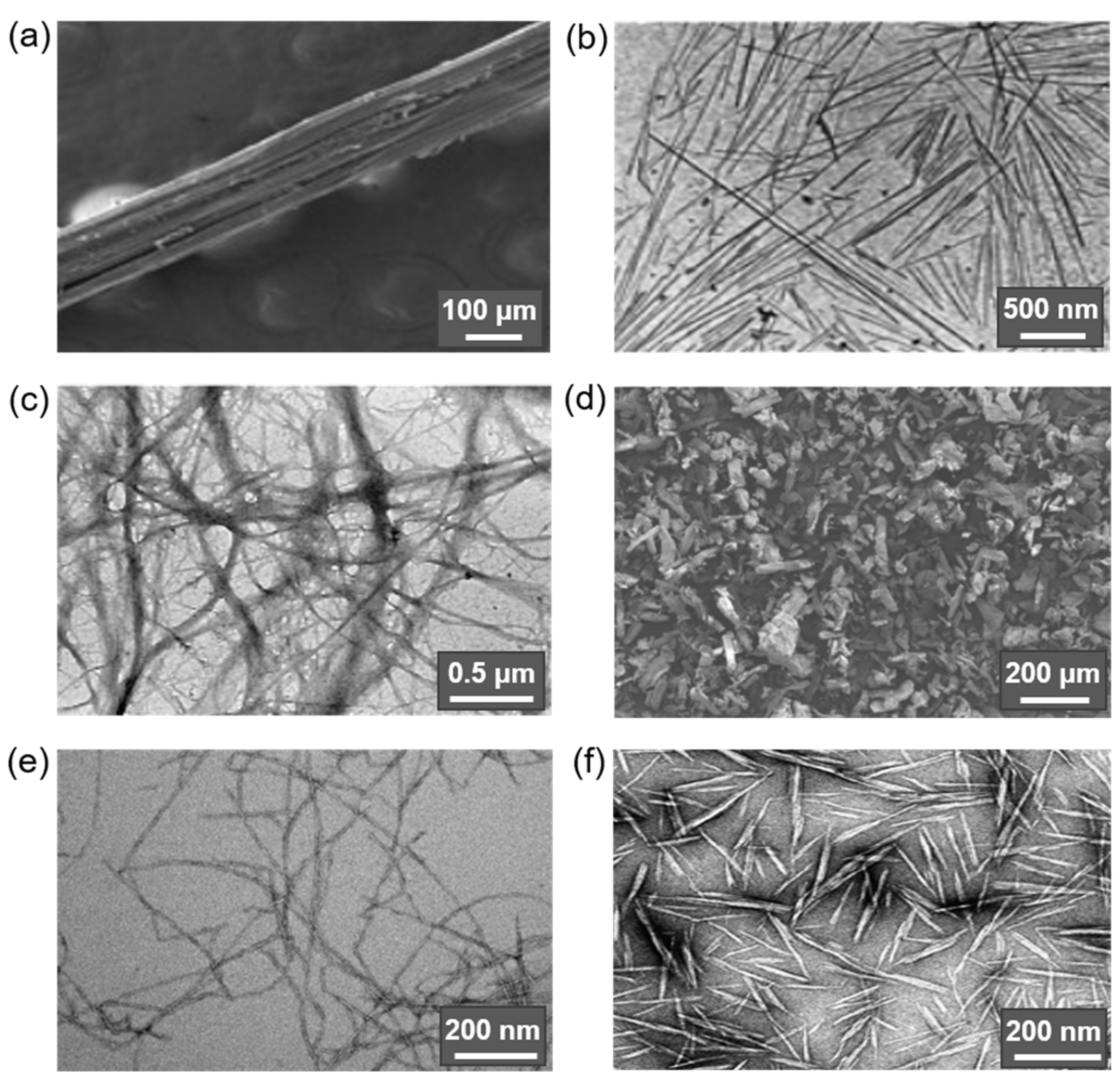 Polymers 14 01477 g002