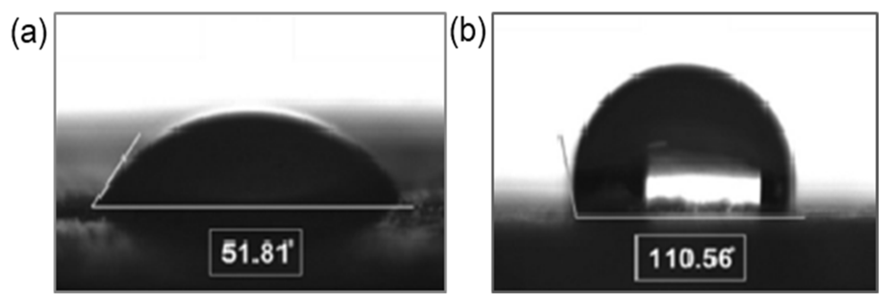 Polymers 14 01477 g009
