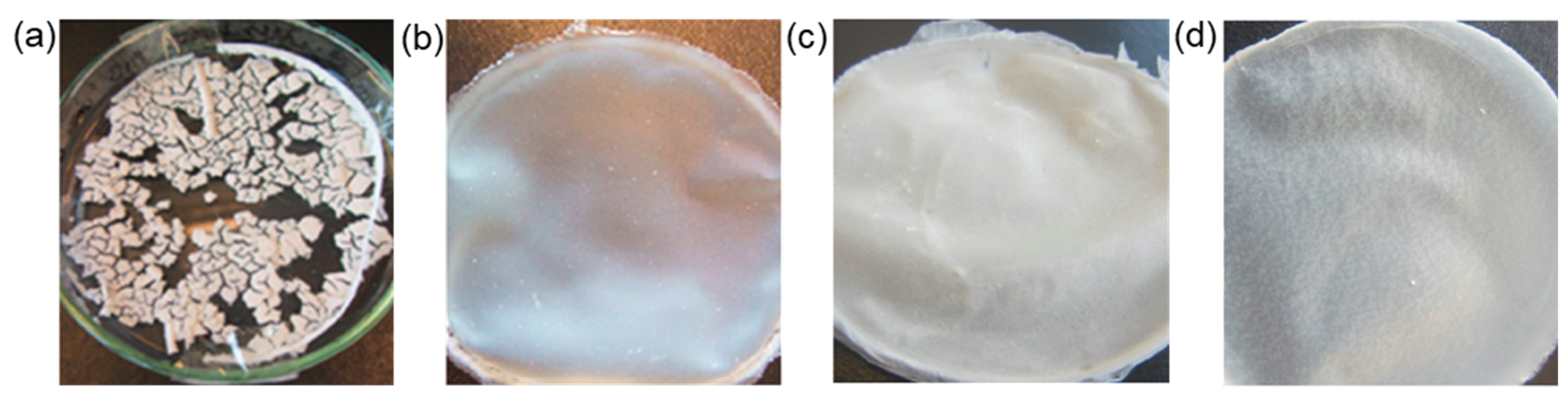 Polymers 14 01477 g018