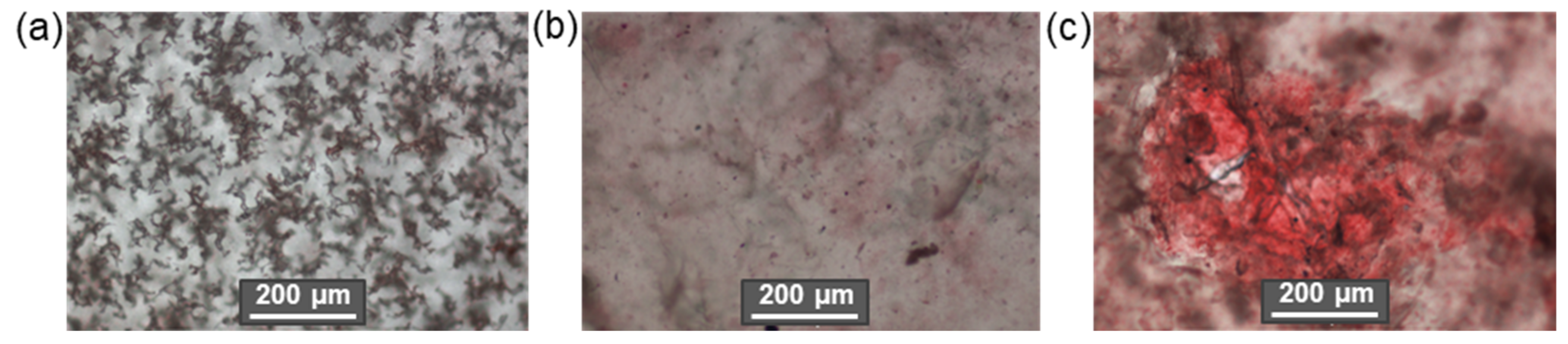 Polymers 14 01477 g021