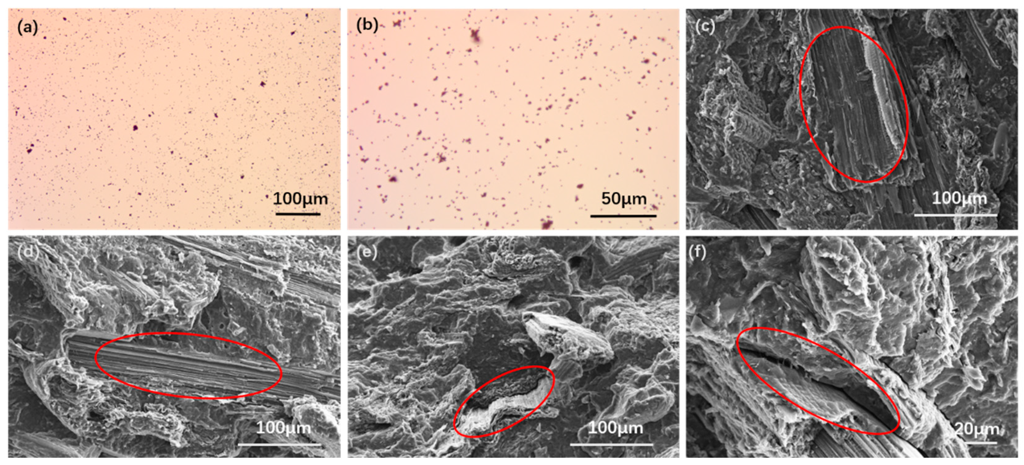 Polymers 14 01479 g009