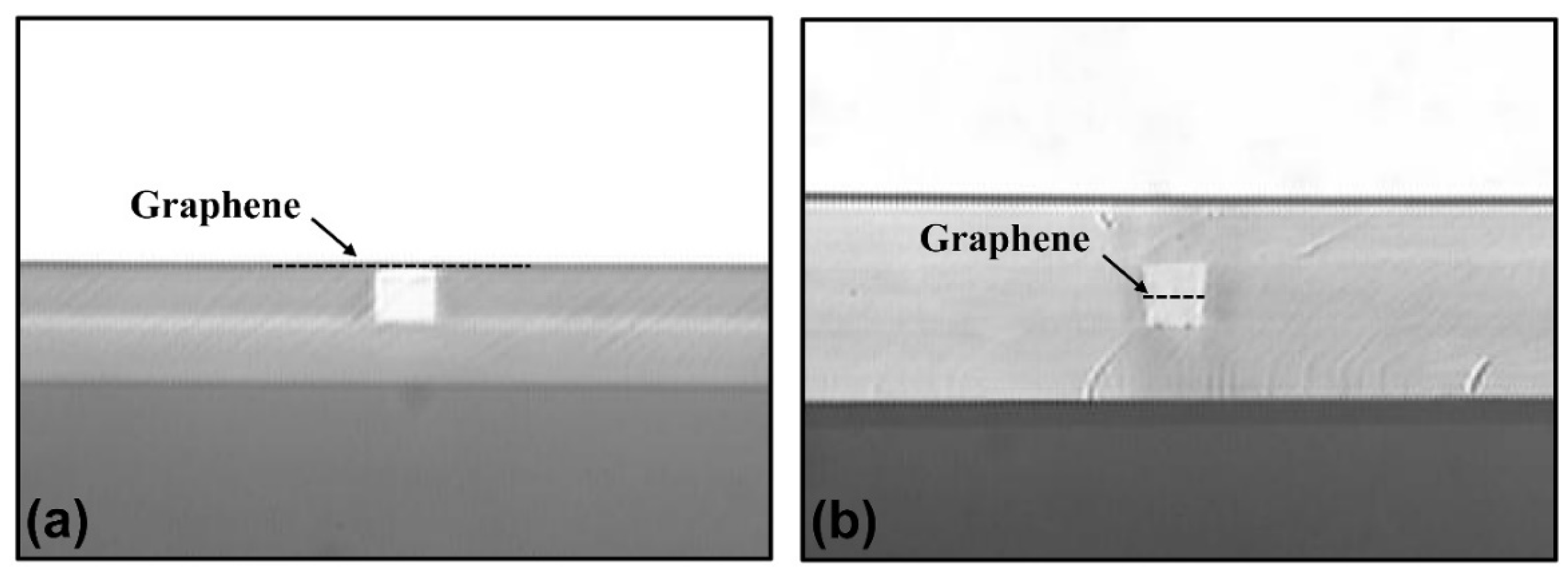 Polymers 14 01481 g005