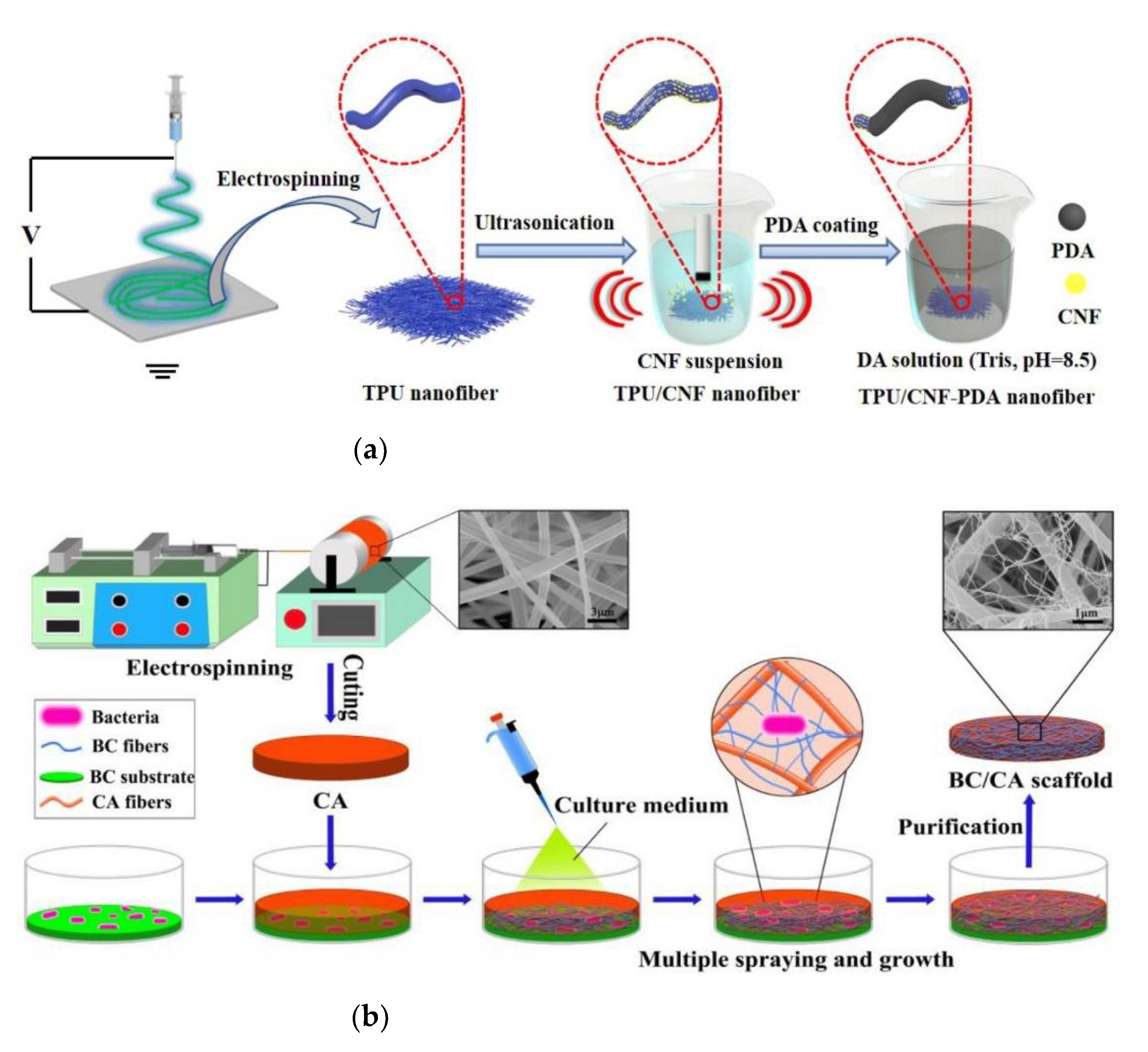 Polymers 14 01508 g002a