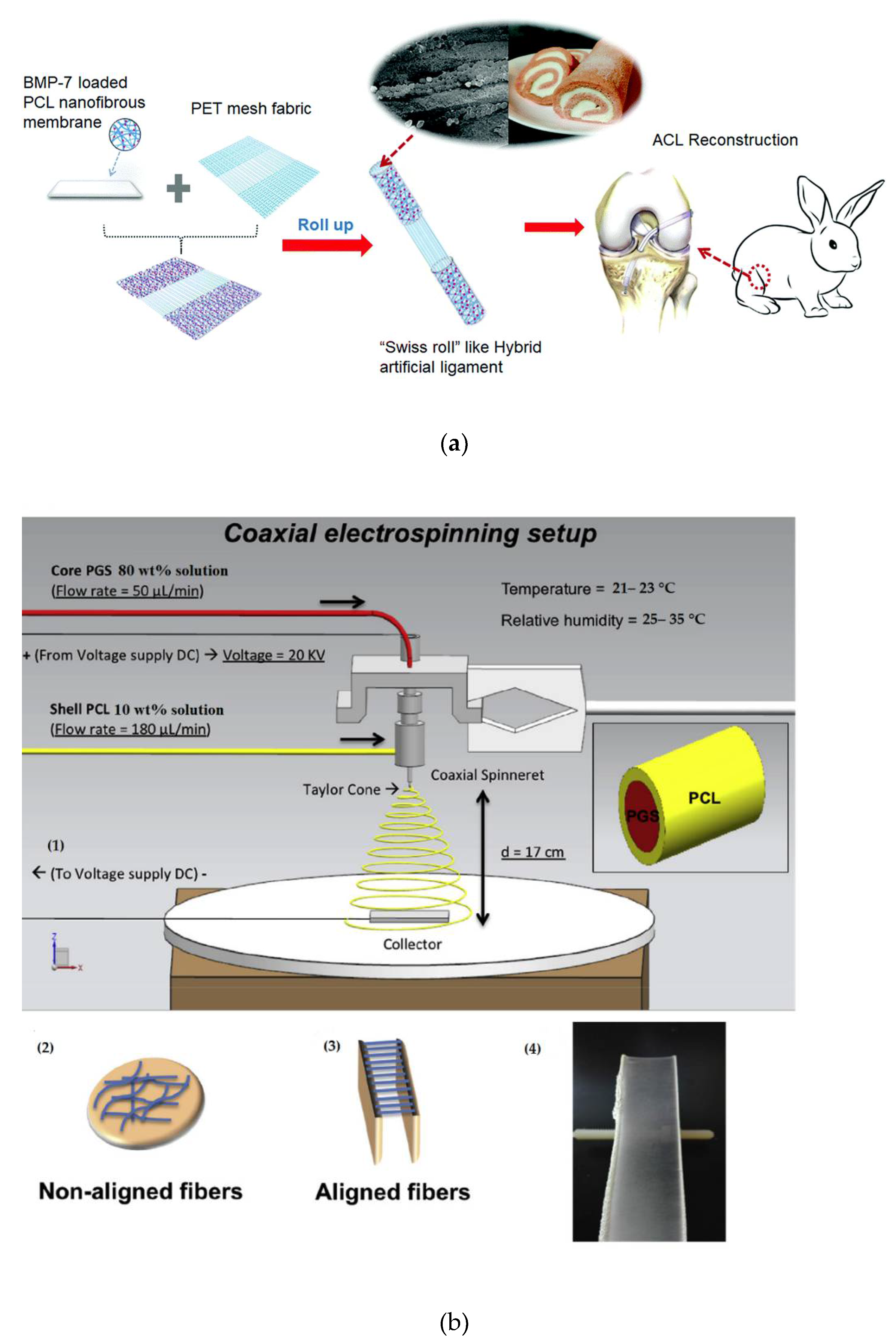 Polymers 14 01508 g003