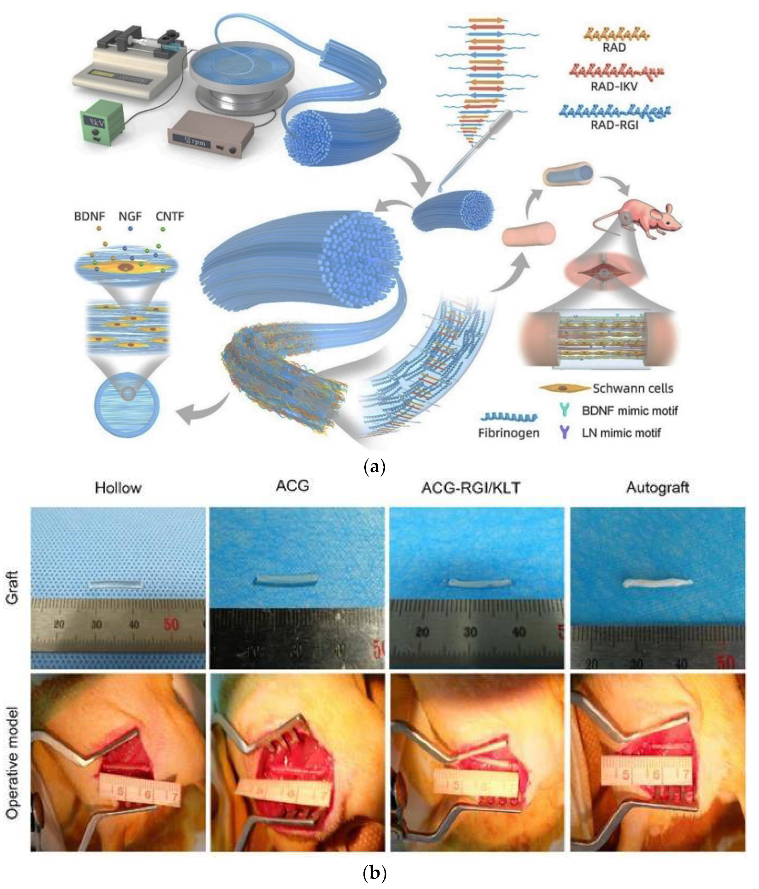 Polymers 14 01508 g005