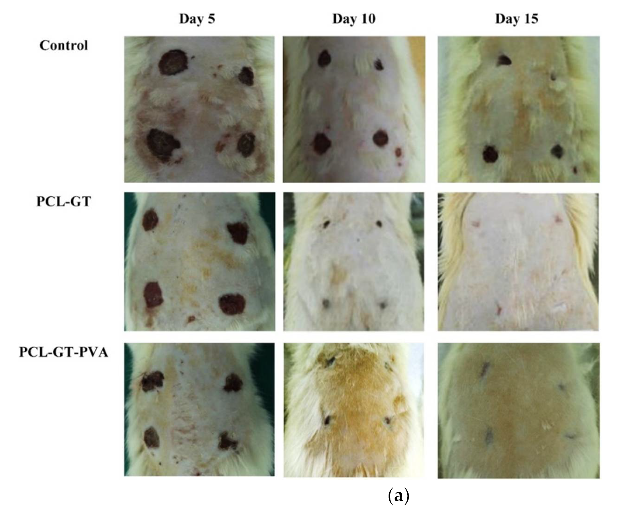 Polymers 14 01508 g008a