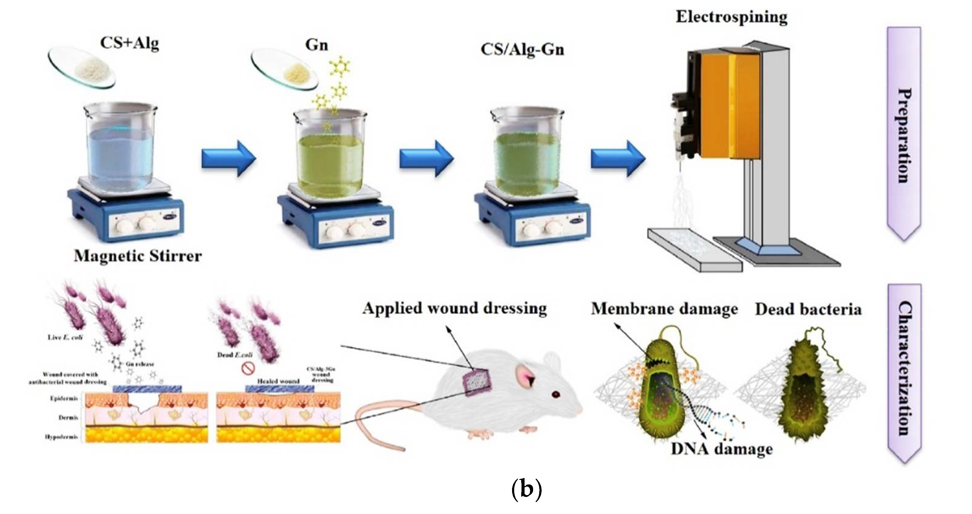 Polymers 14 01508 g008b