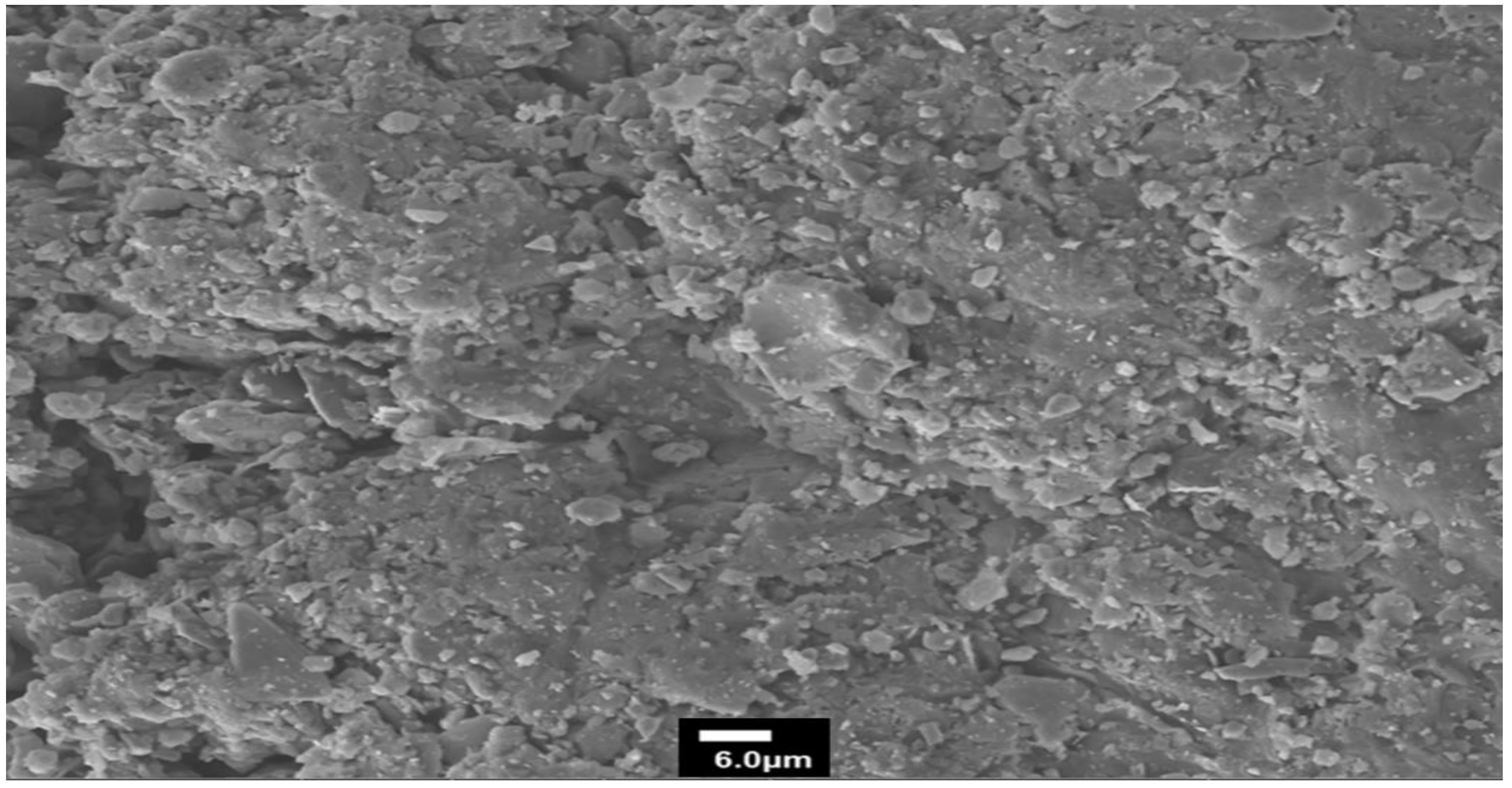 Polymers 14 01512 g002b