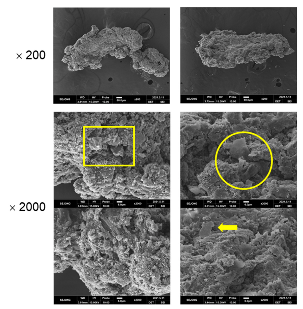 Polymers 14 01512 g005