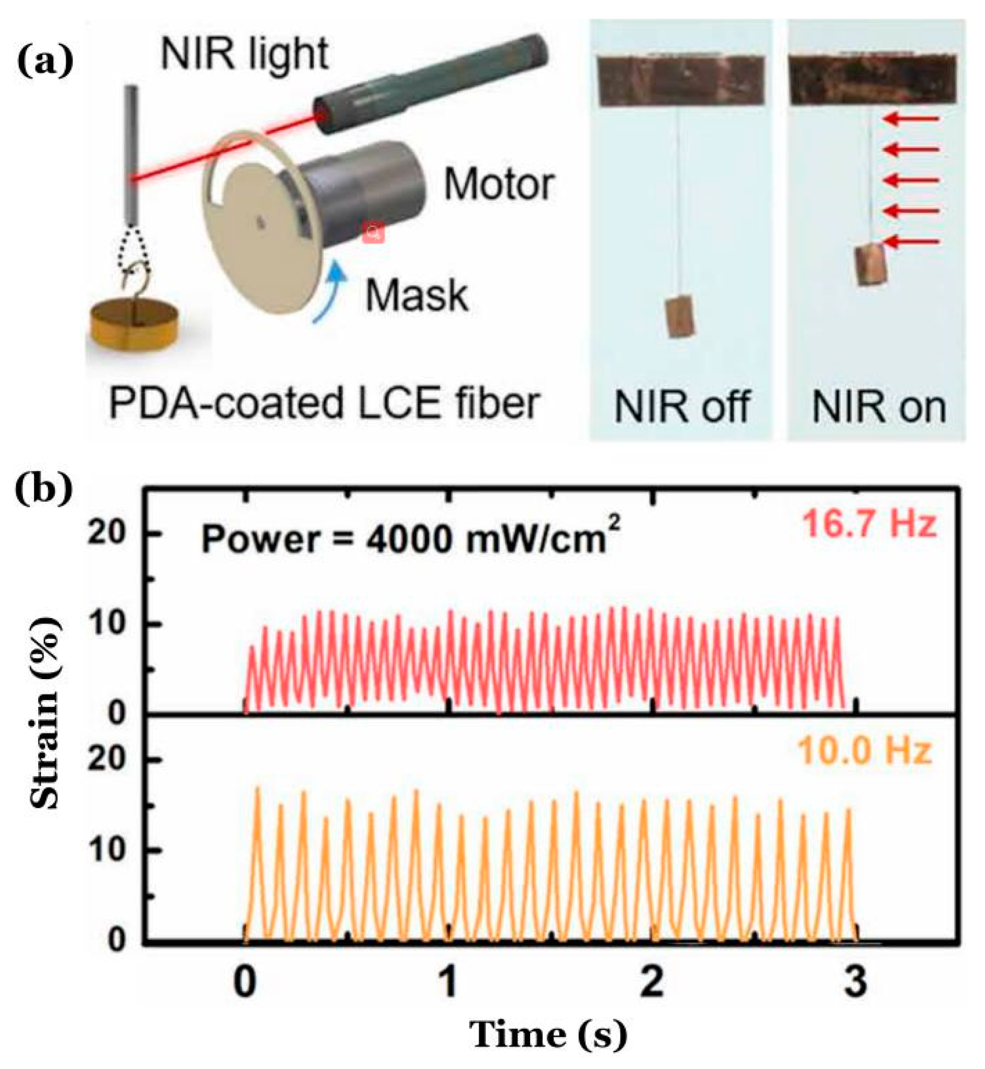 Polymers 14 01525 g001