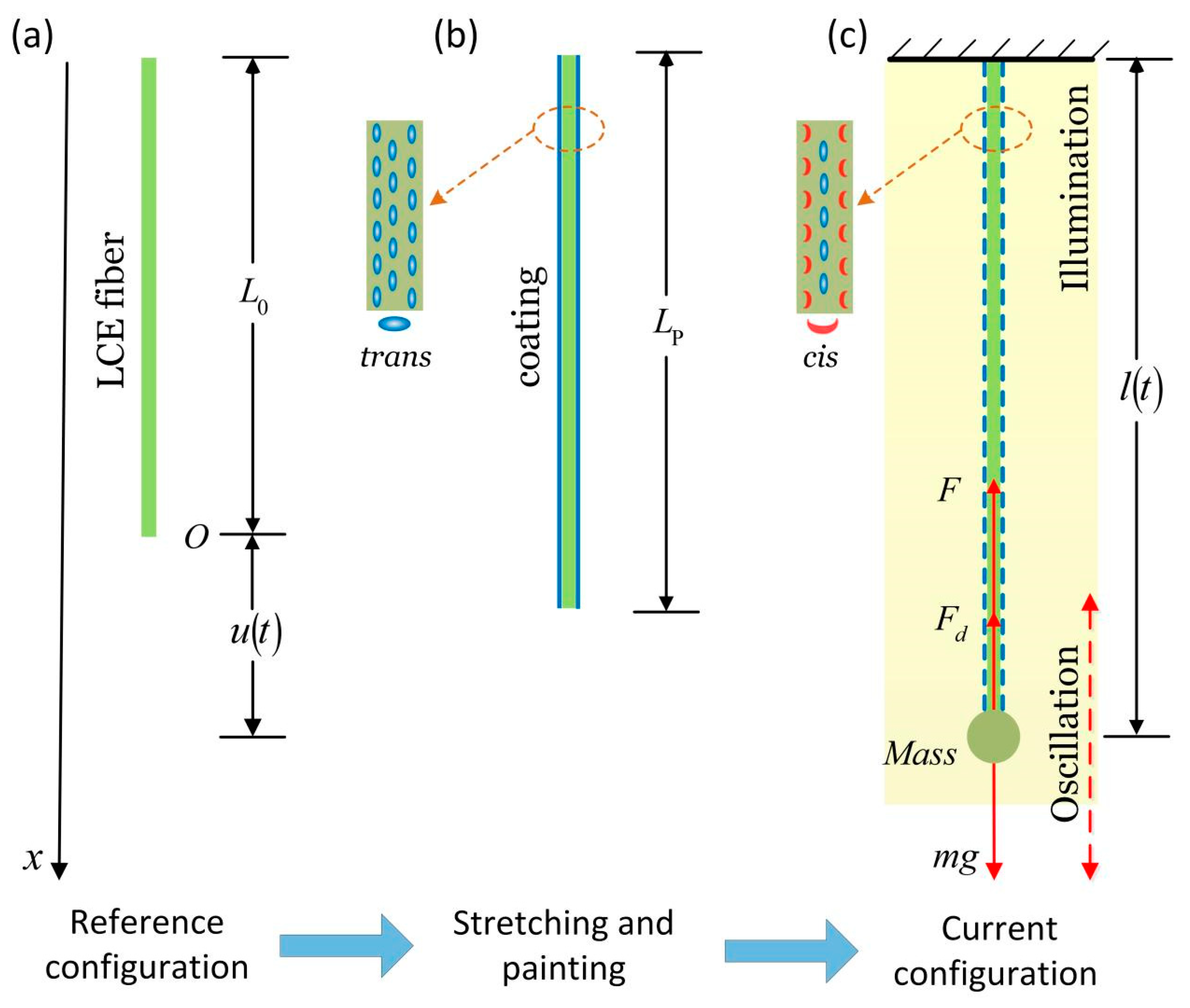 Polymers 14 01525 g002