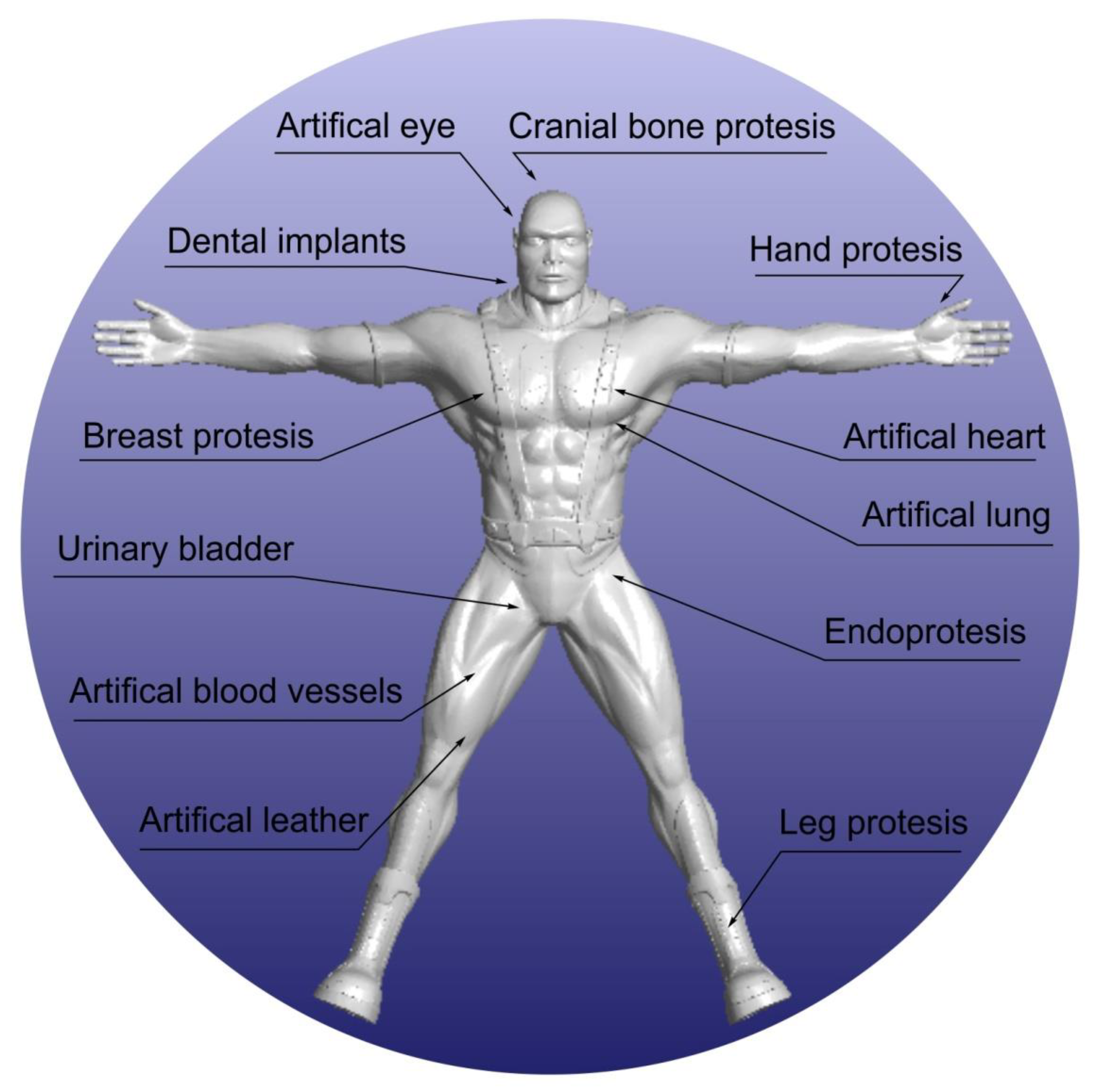 Polymers 14 01526 g001