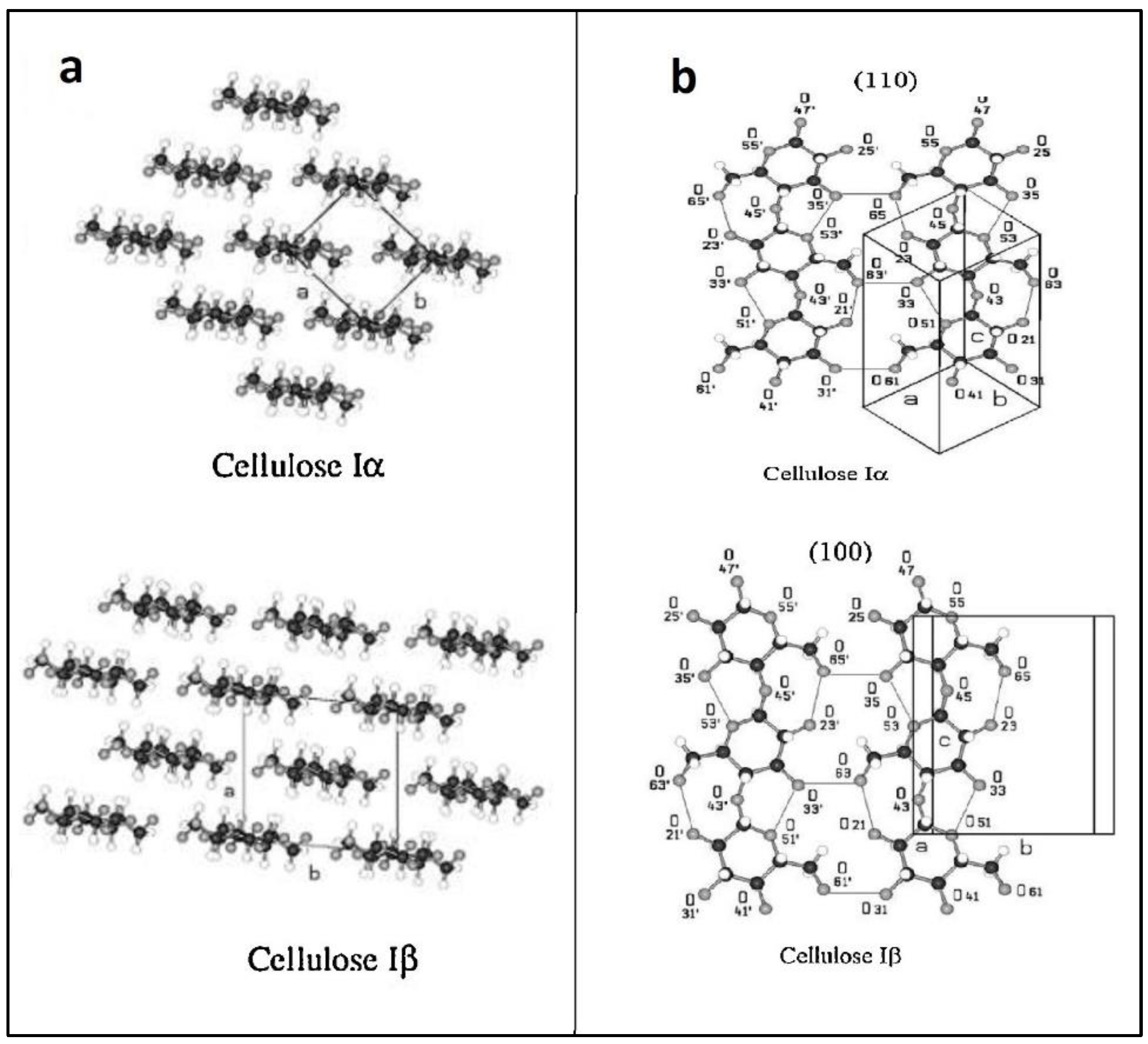 Polymers 14 01531 g003