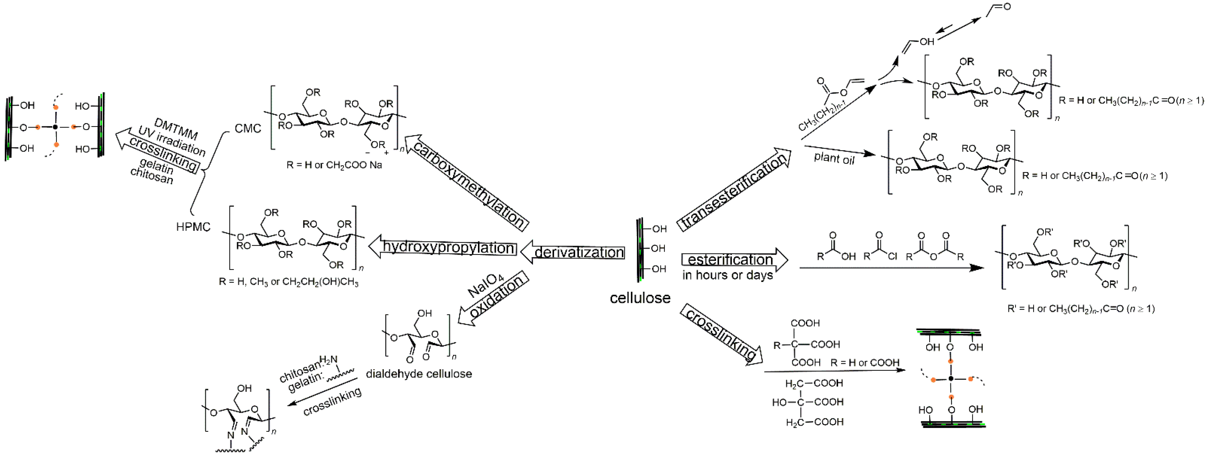Polymers 14 01533 g002