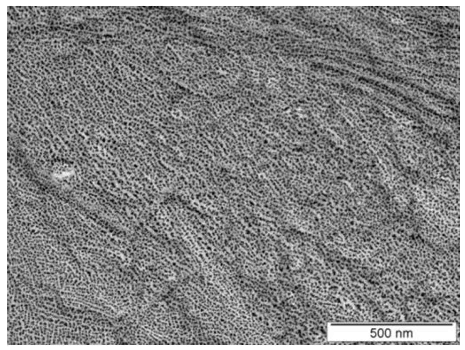 Polymers 14 01534 g009