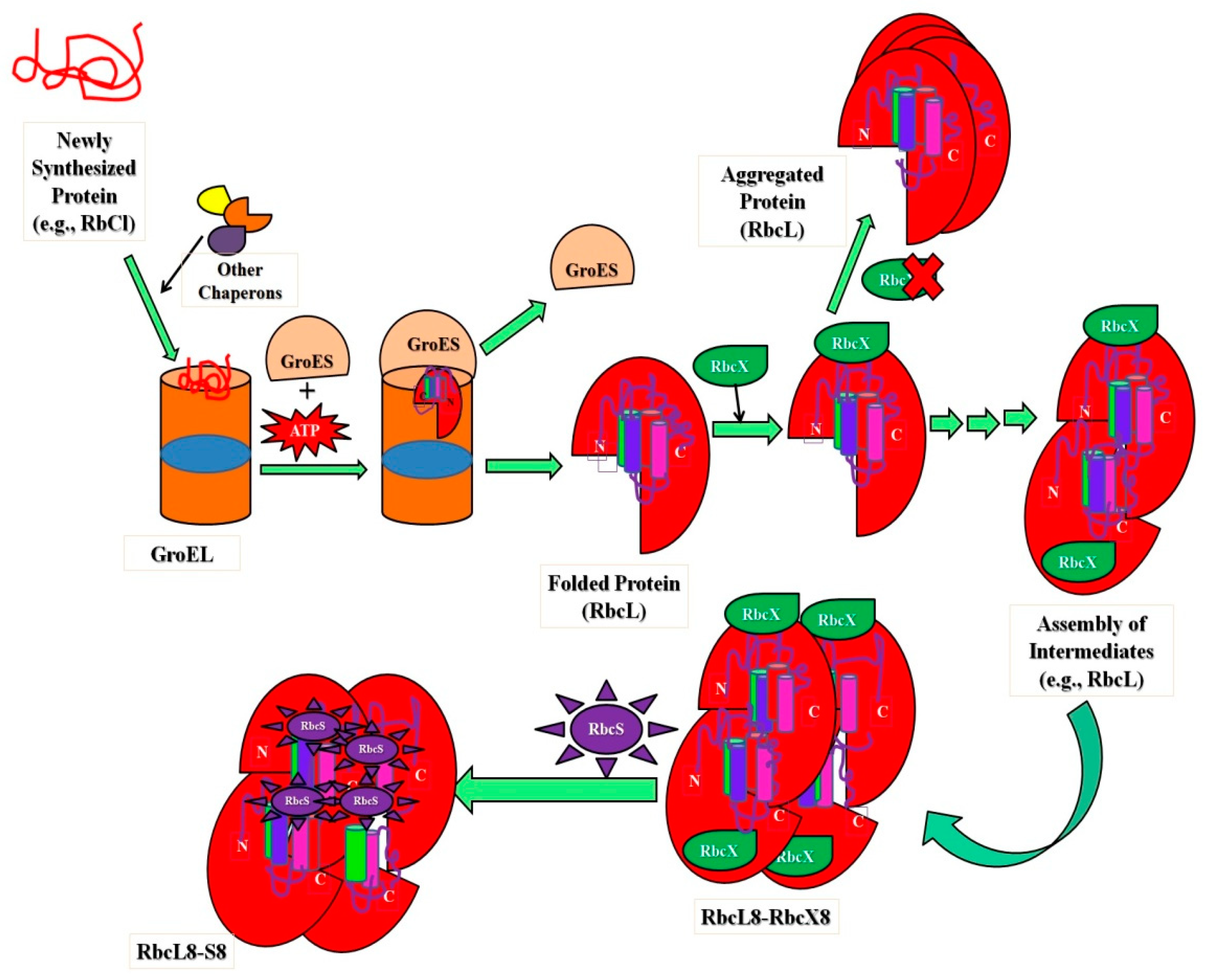 Polymers 14 01539 g002