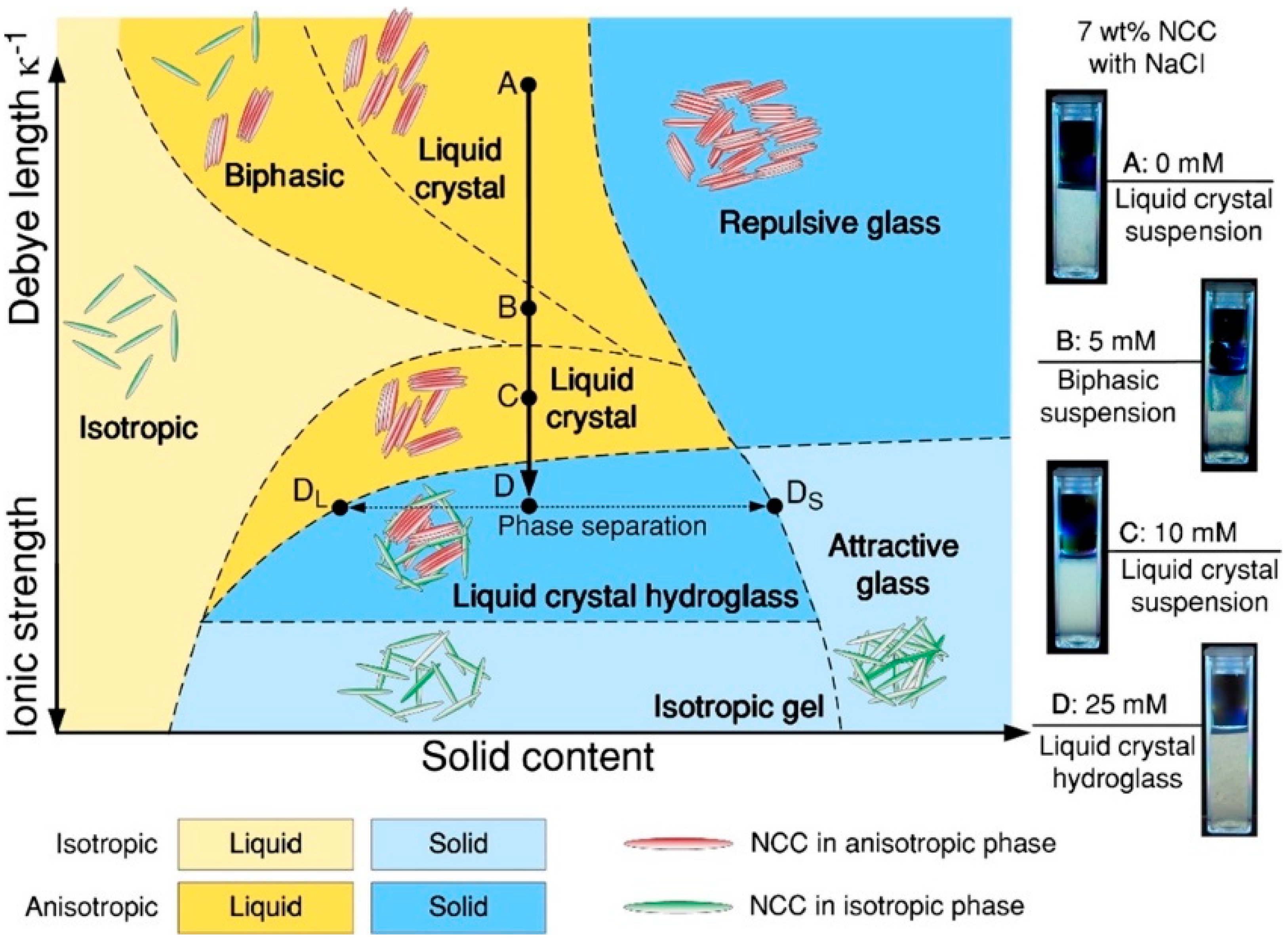 Polymers 14 01546 g006