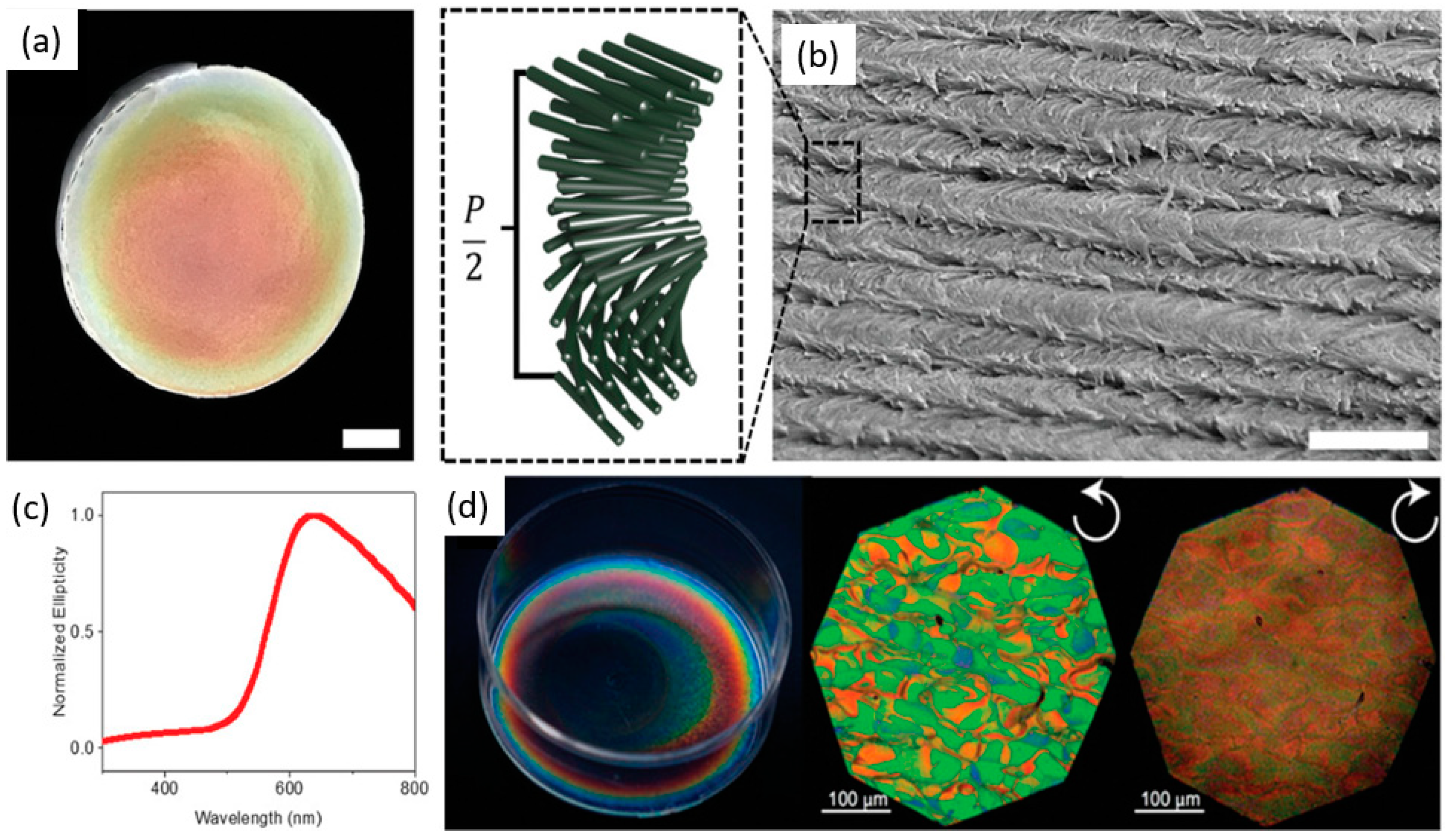 Polymers 14 01546 g008