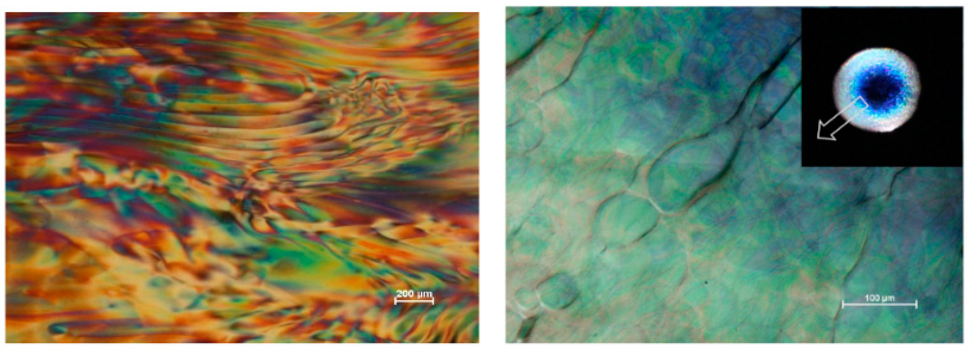 Polymers 14 01546 g012