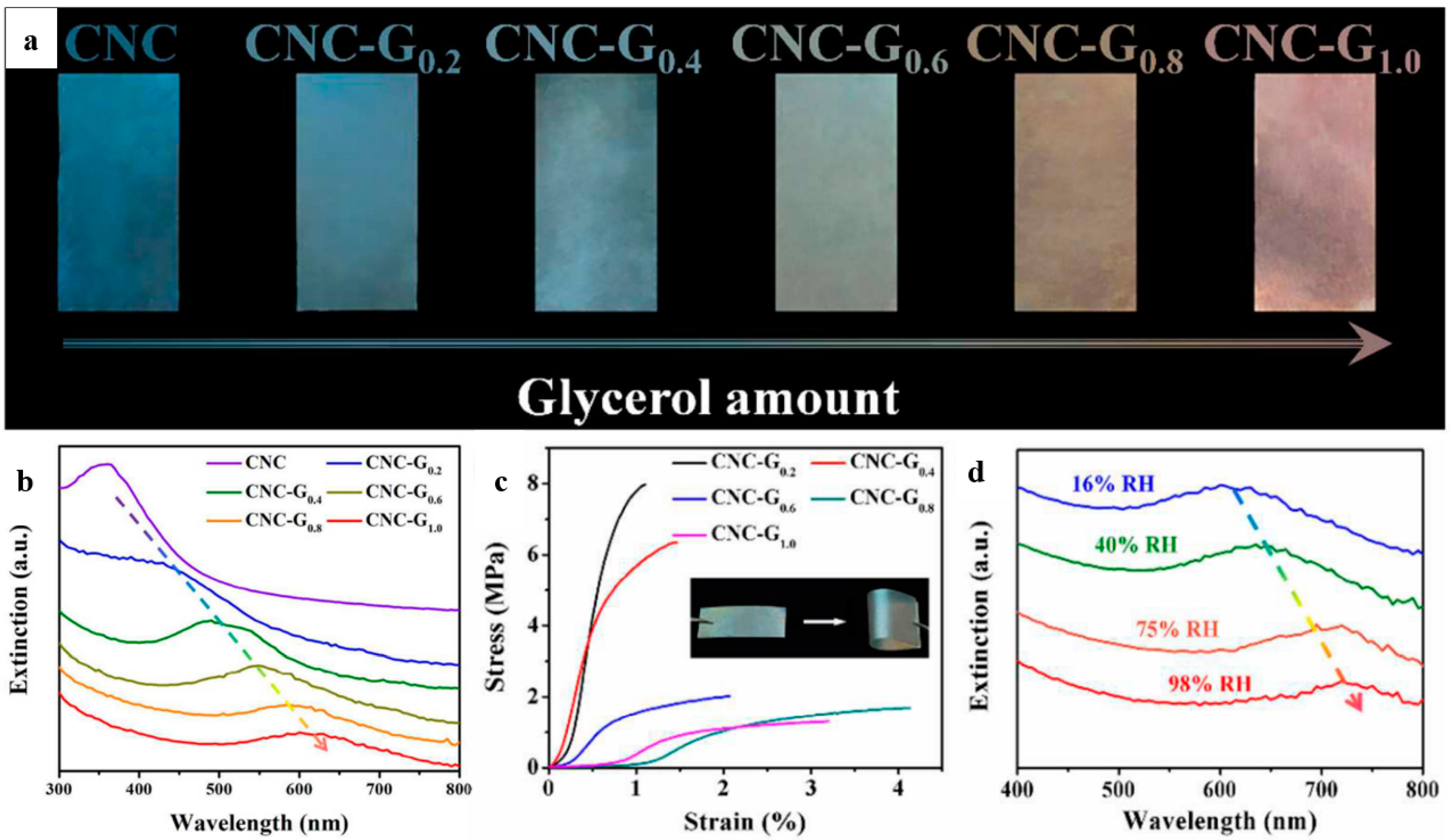 Polymers 14 01546 g016