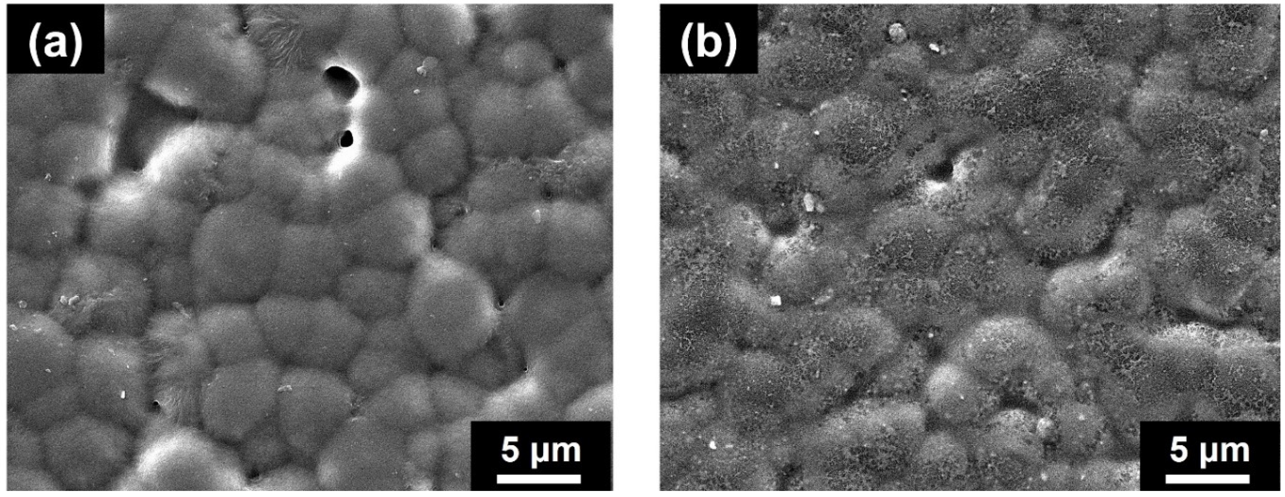 Polymers 14 01547 g002