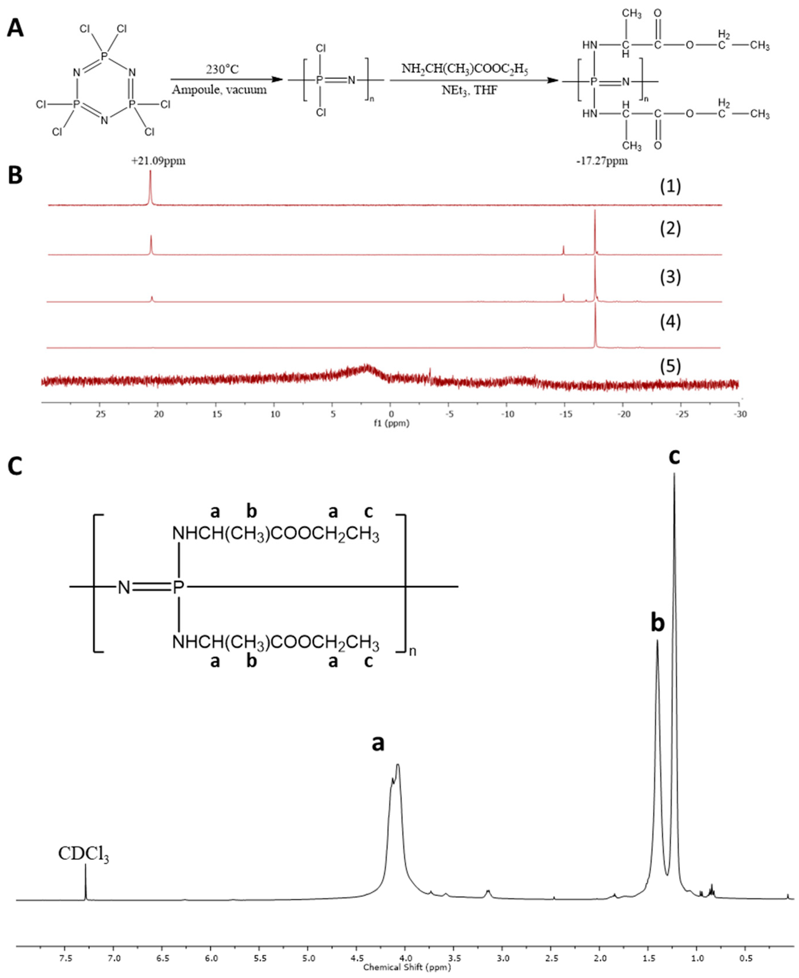 Polymers 14 01555 g001
