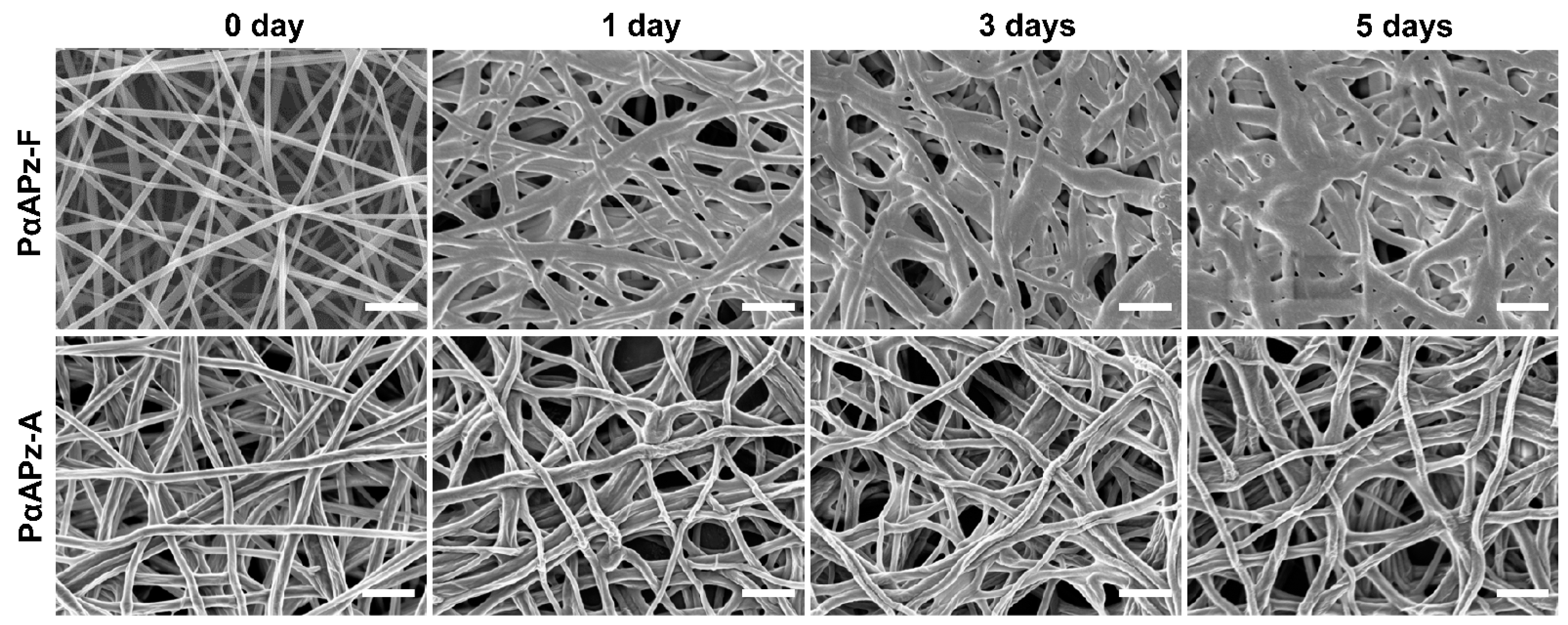 Polymers 14 01555 g003