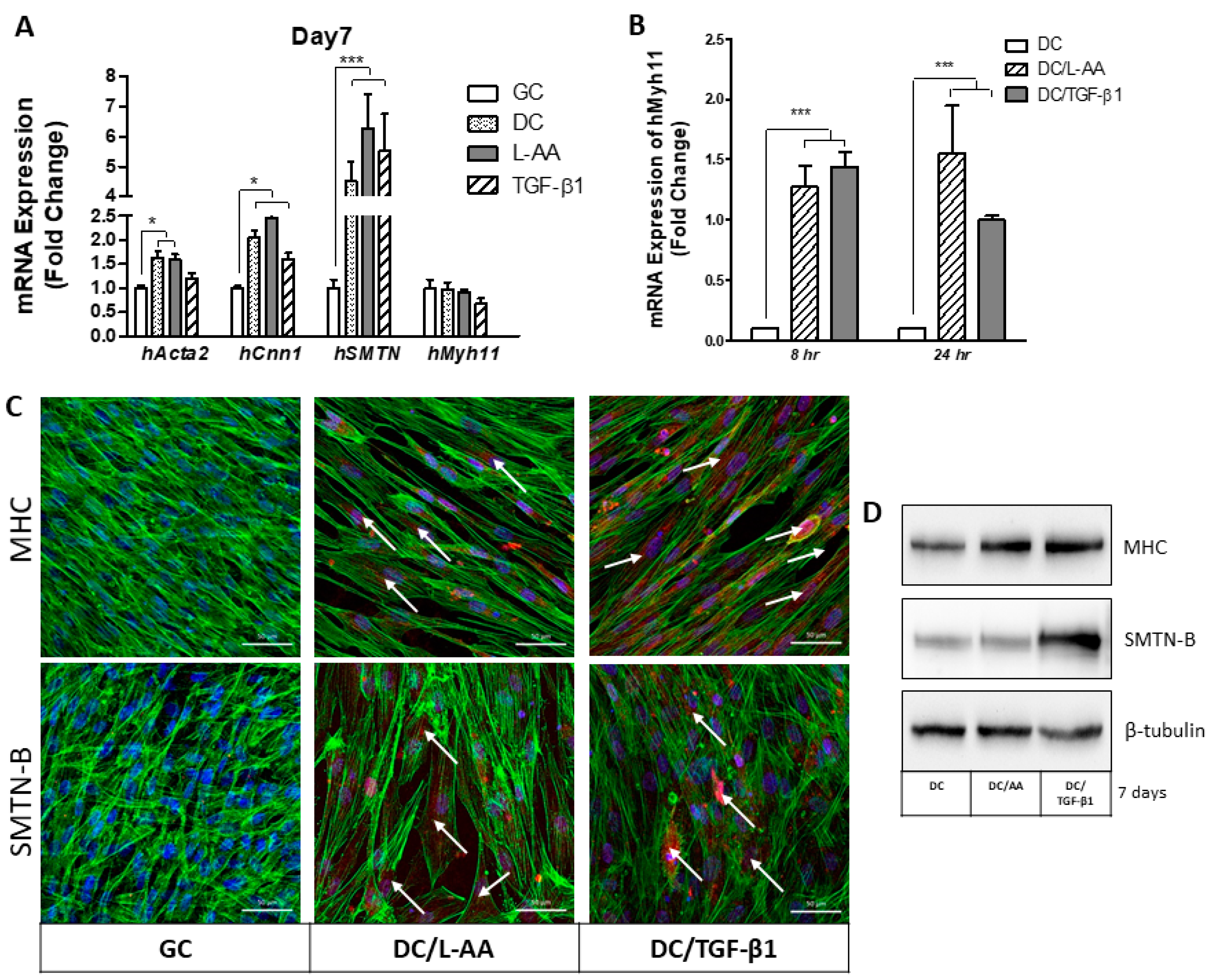 Polymers 14 01555 g005