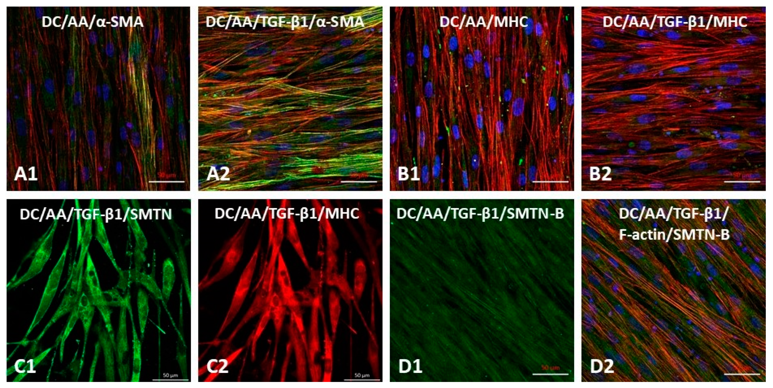 Polymers 14 01555 g006