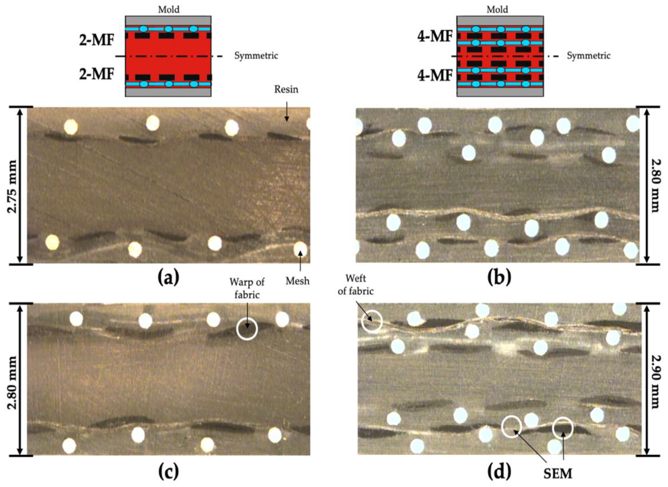Polymers 14 01577 g008