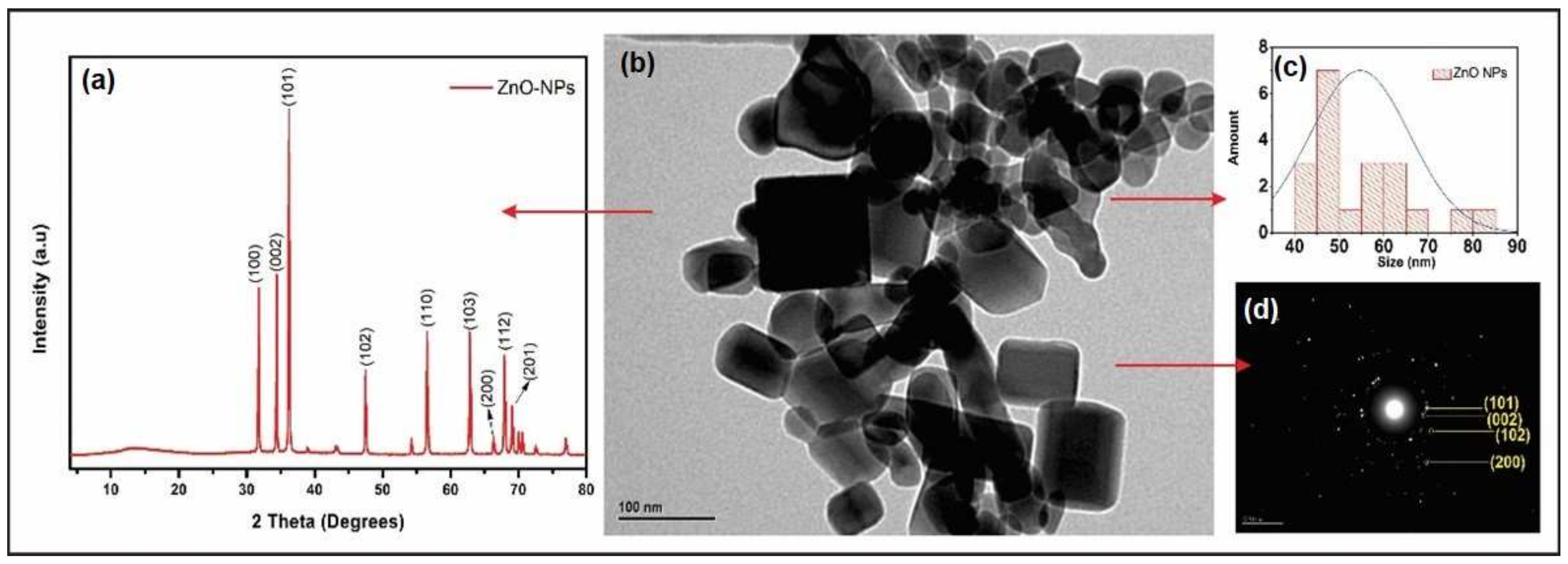 Polymers 14 01579 g002