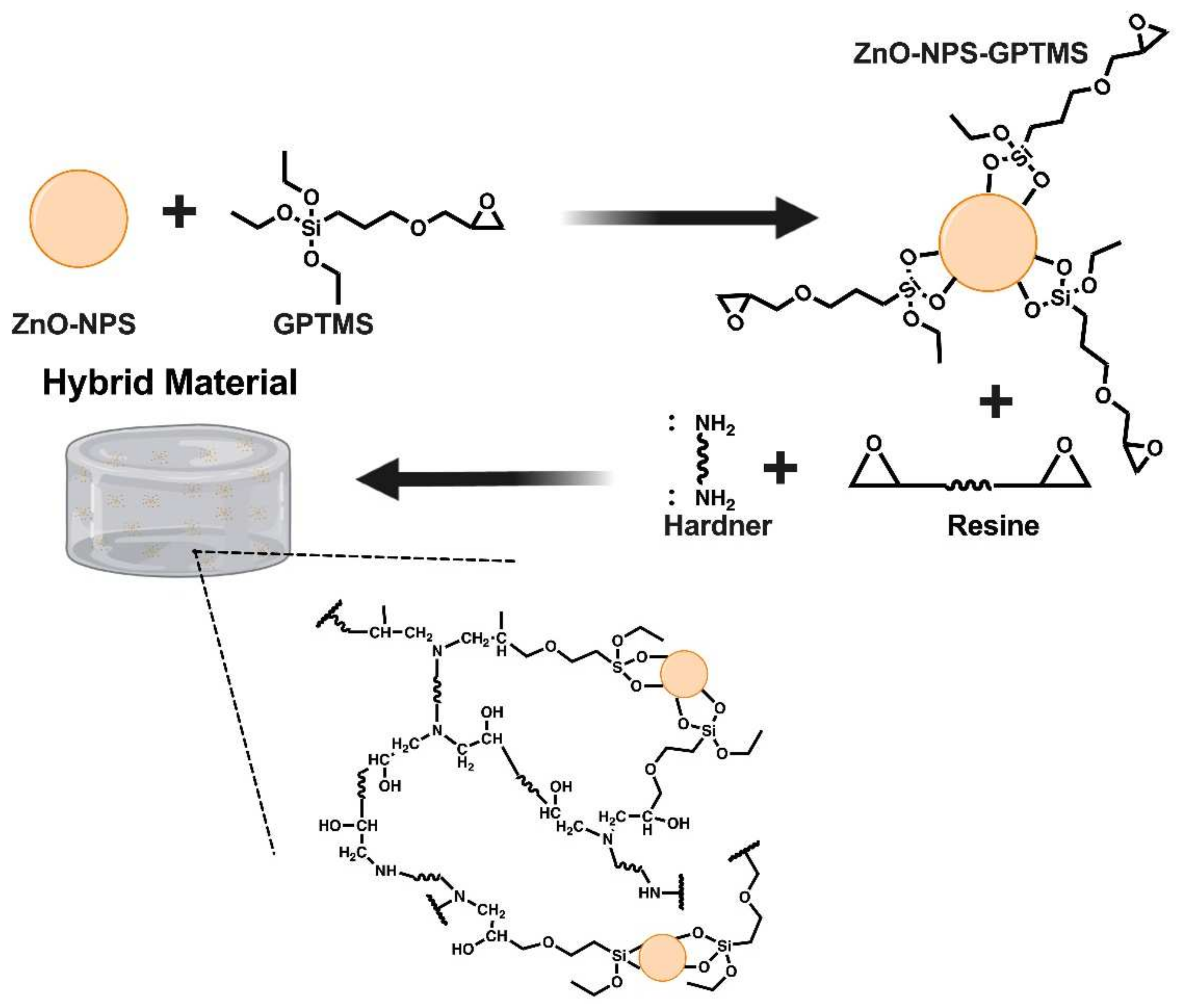 Polymers 14 01579 g005