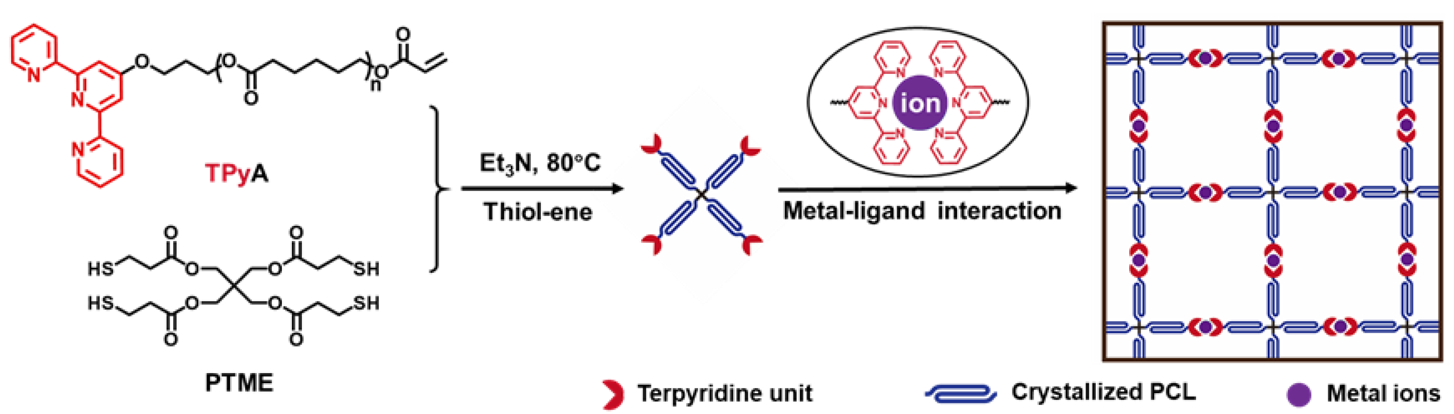 Polymers 14 01598 g001