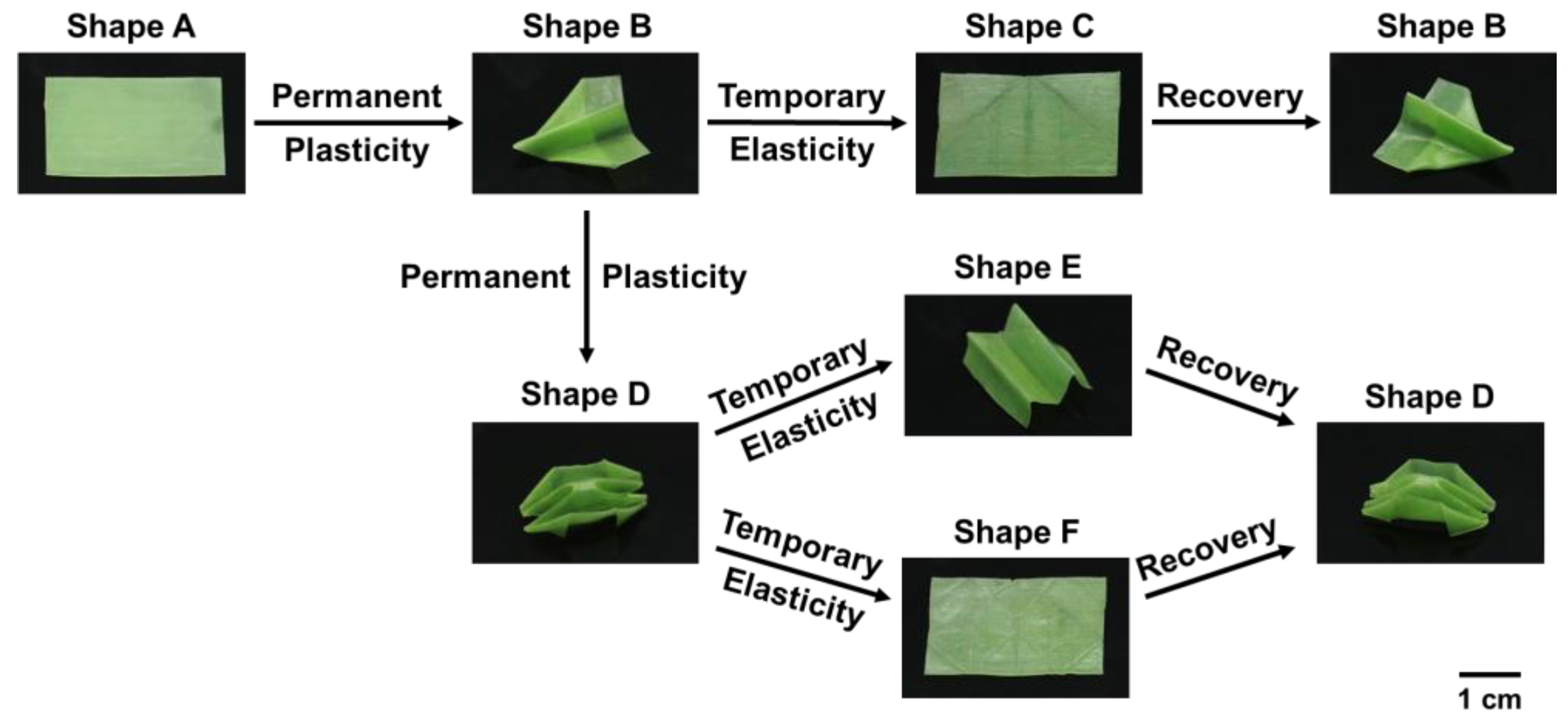 Polymers 14 01598 g007