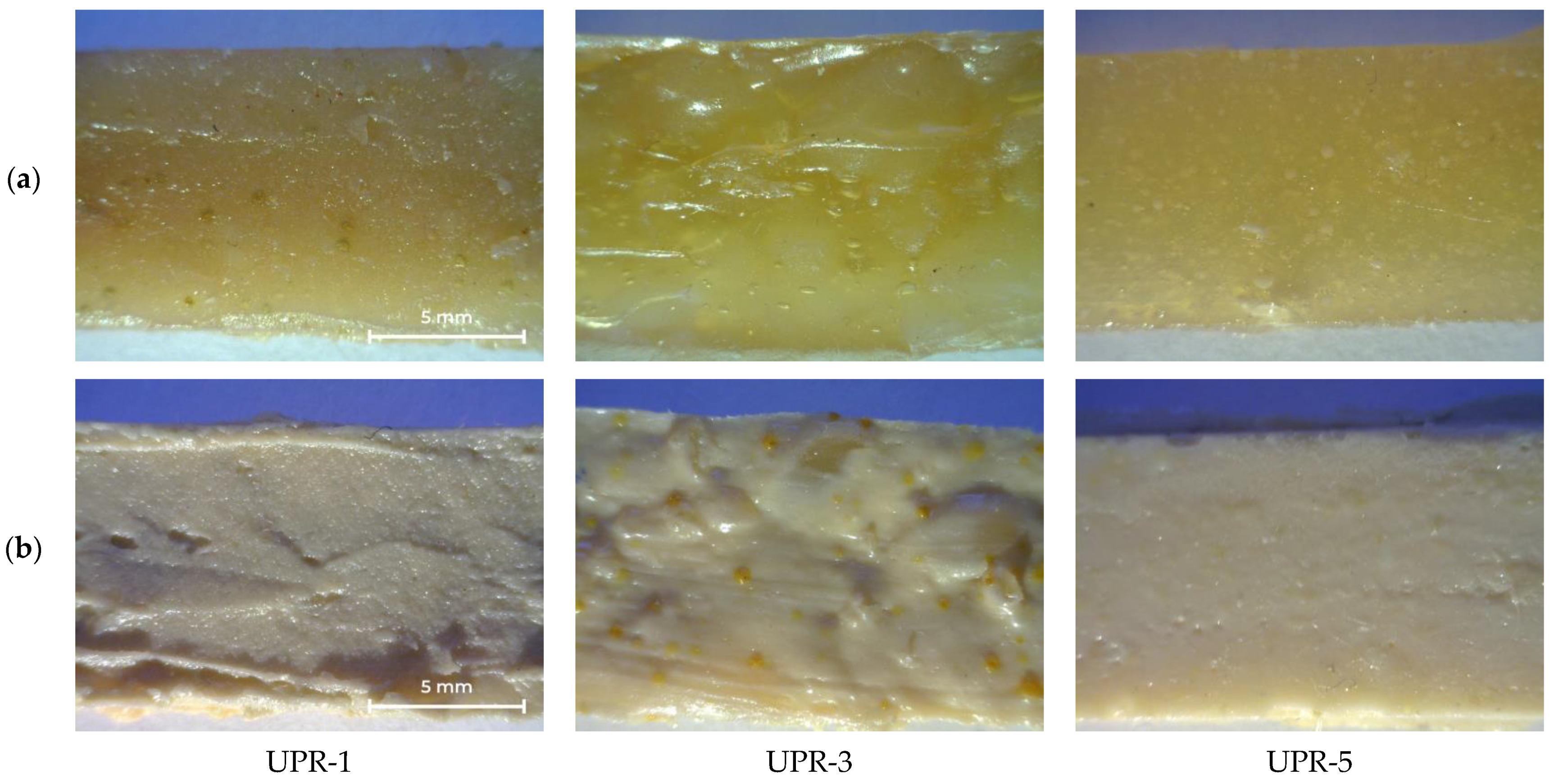 Polymers 14 01602 g012
